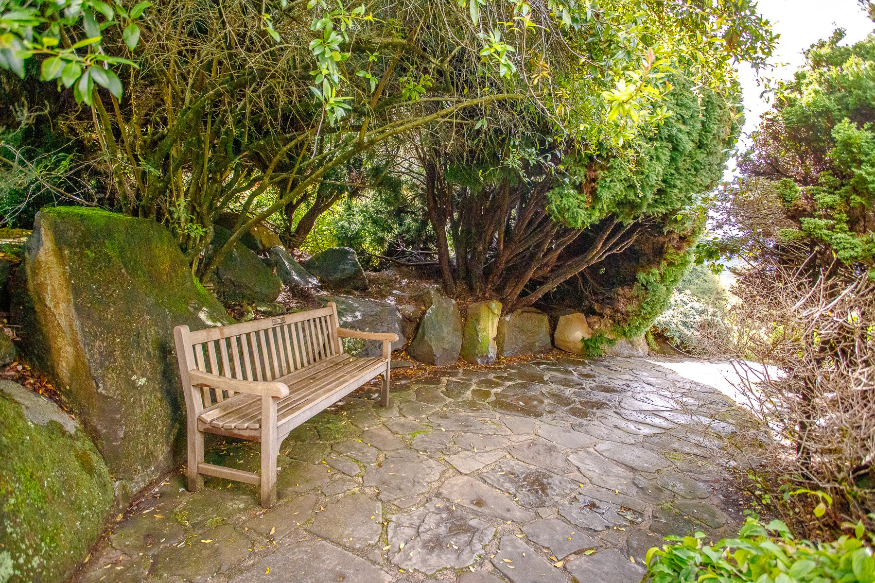 Mt Tomah Botanical Gardens-18.jpg