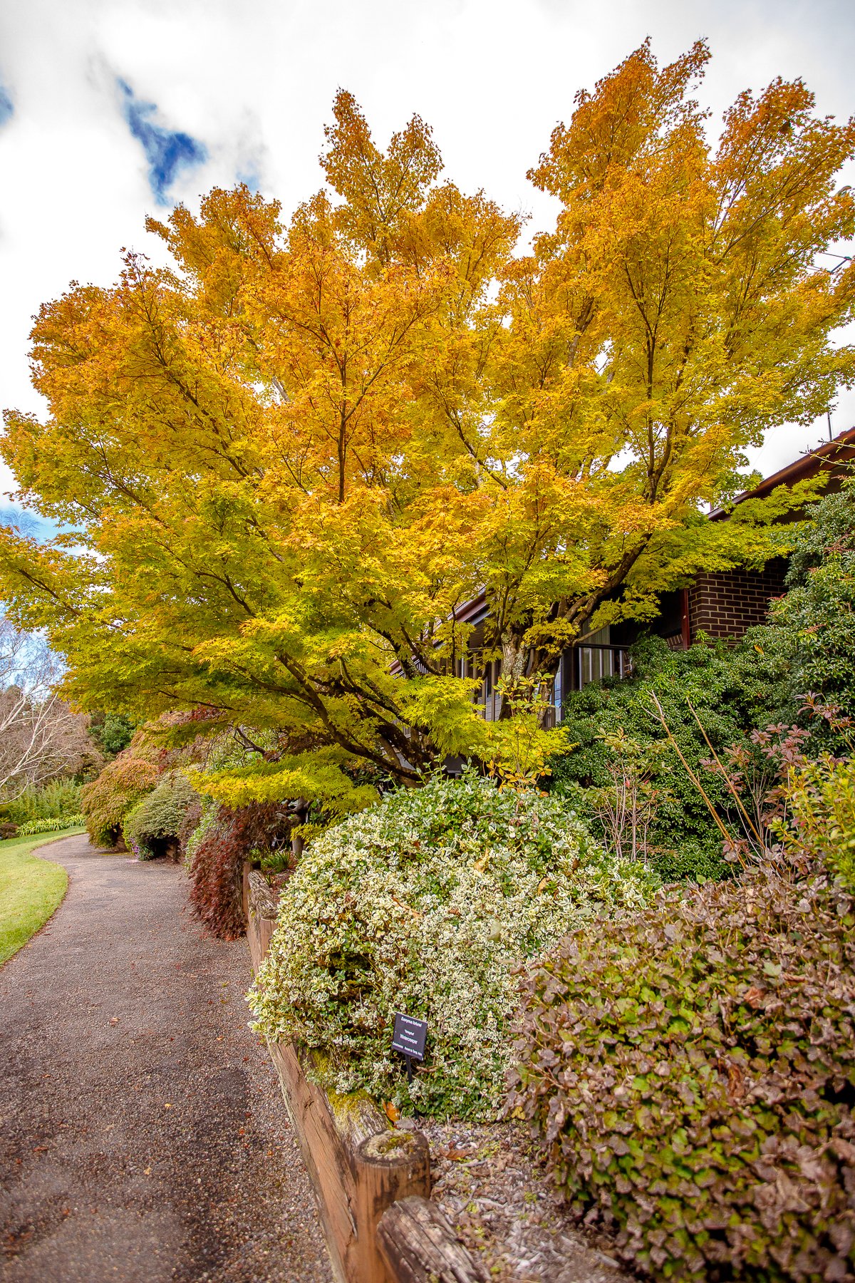 Mt Tomah Botanical Gardens-27.jpg