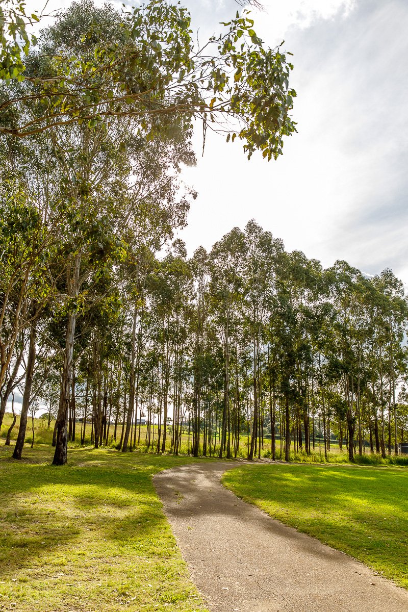Rouse Hill Regional Park-02.jpg
