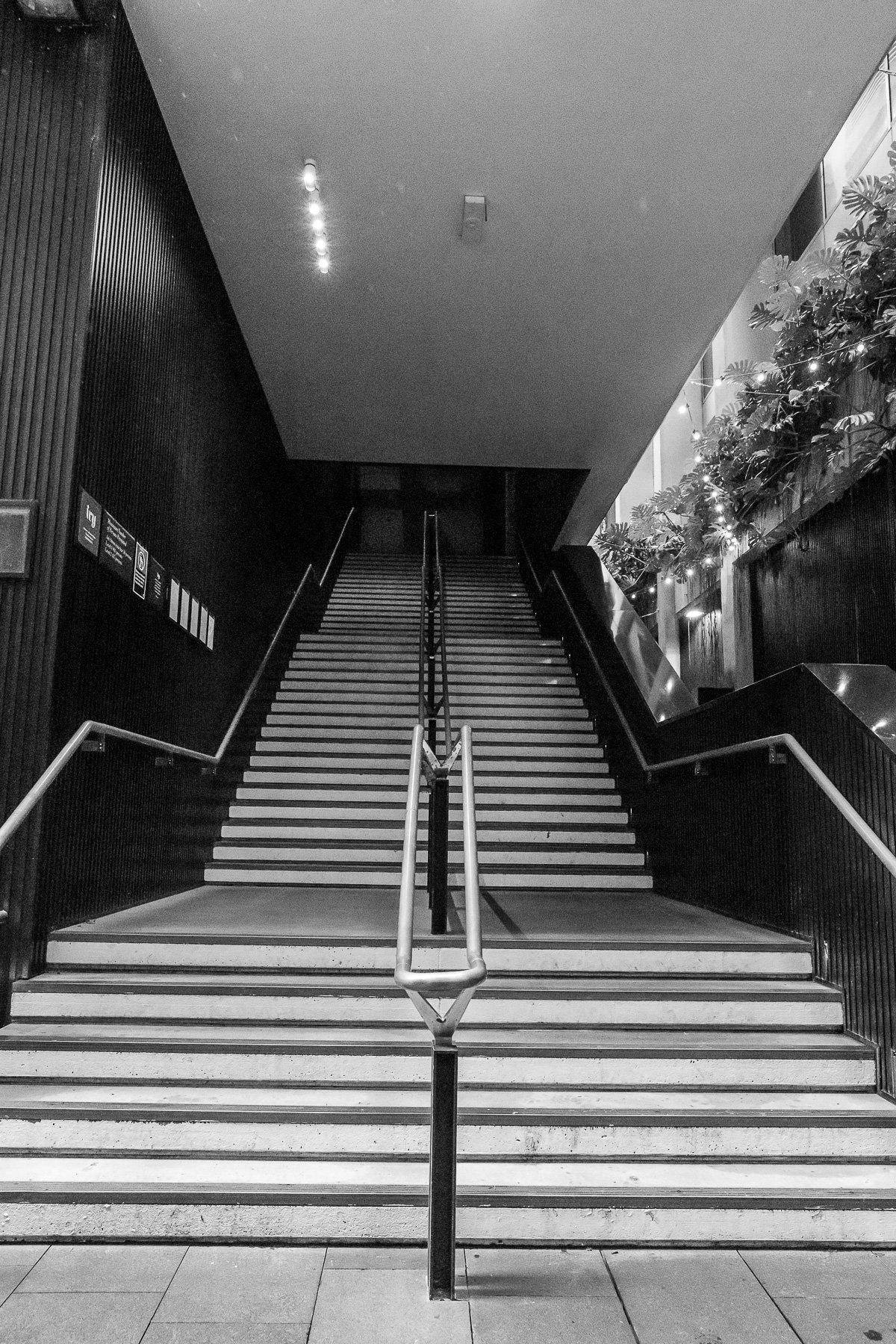 CBD-06.jpg