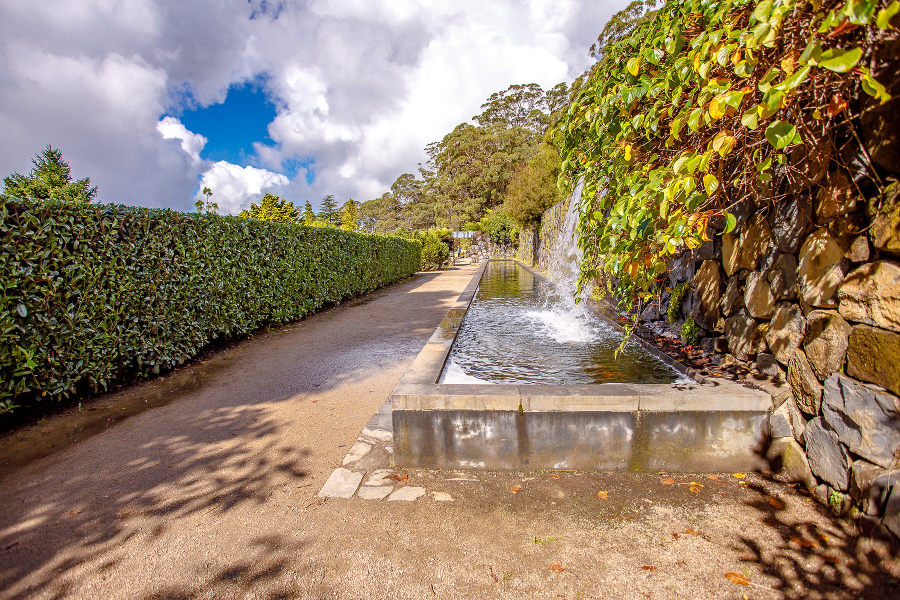 Mt Tomah Botanical Gardens-13.jpg