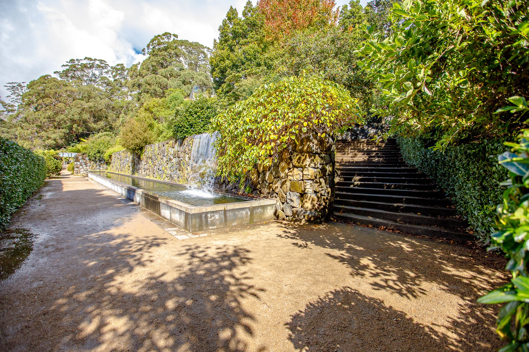 Mt Tomah Botanical Gardens-11.jpg