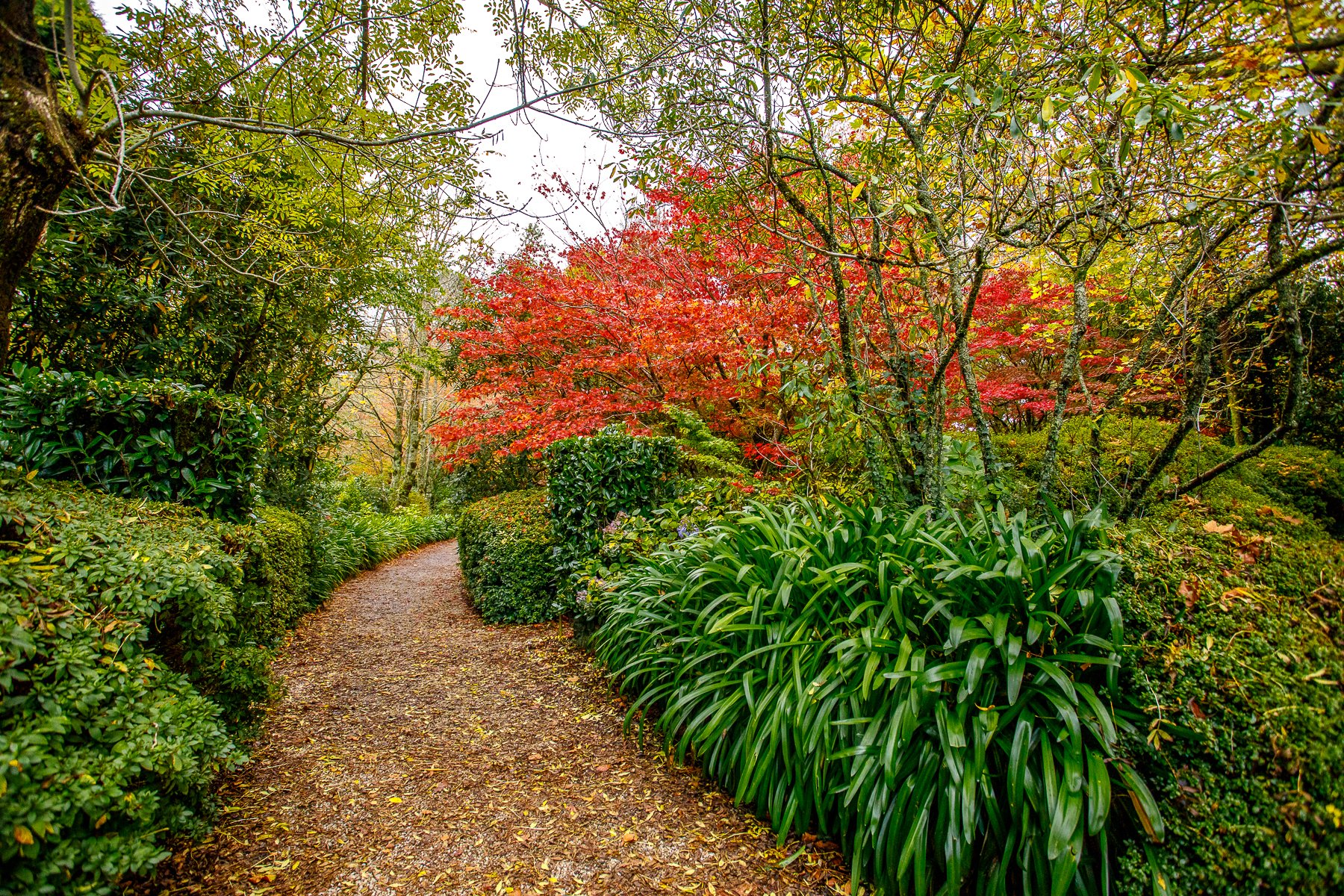 Bebeah Gardens-017.jpg