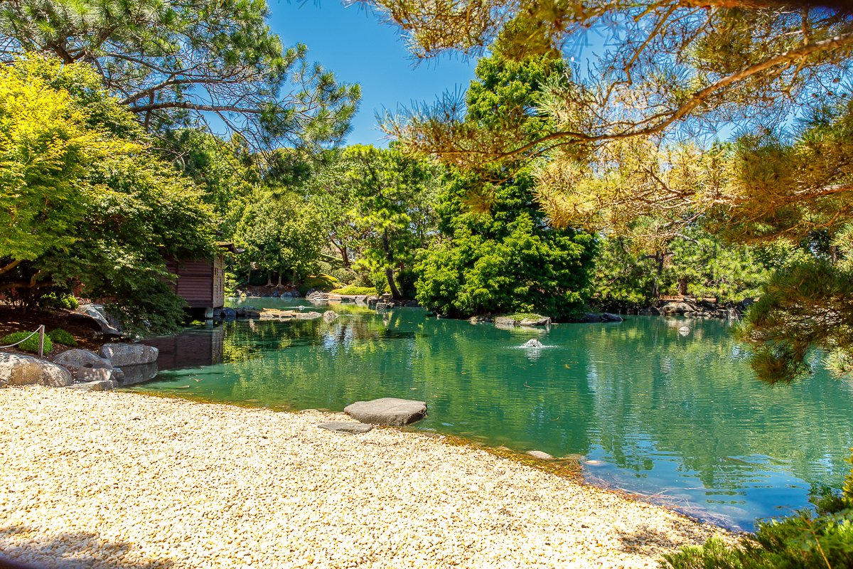 Auburn Botanic Gardens-25.jpg