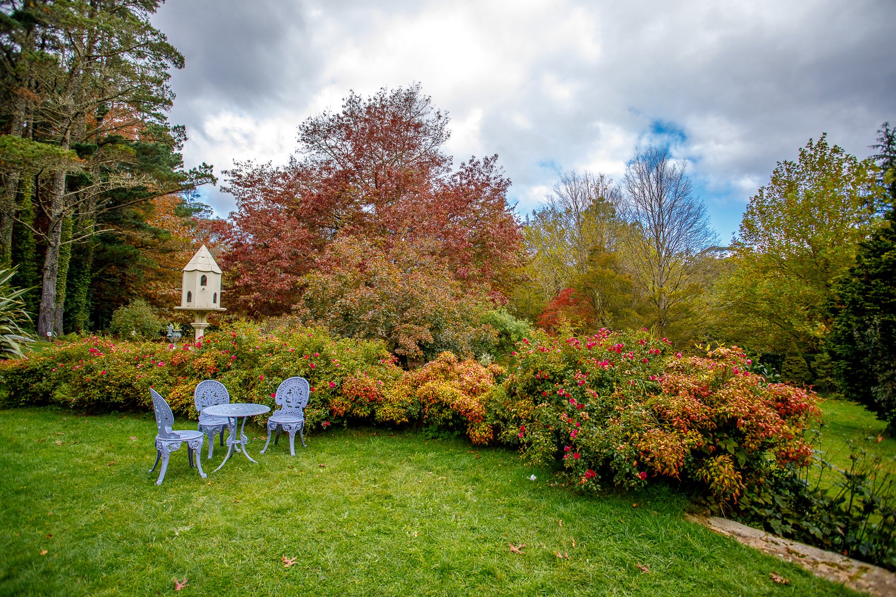 Bebeah Gardens-013.jpg