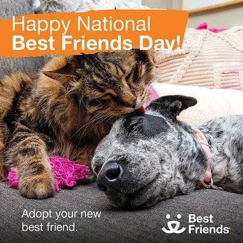 @bestfriendsanimalsociety 🐶 🐈