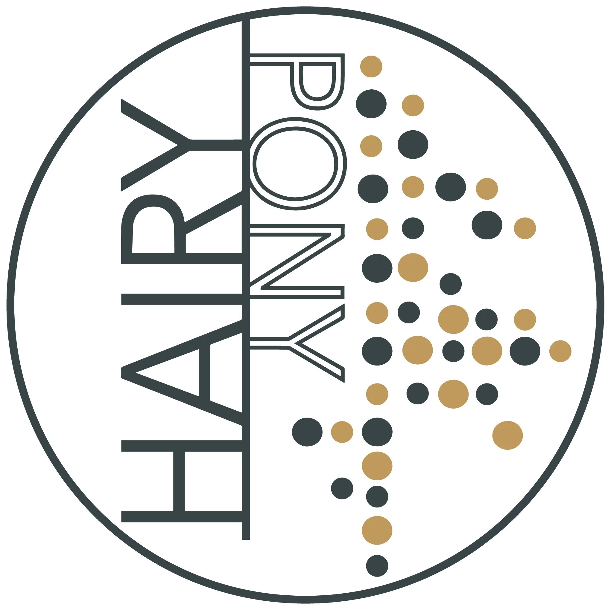 Hairy Pony Logo