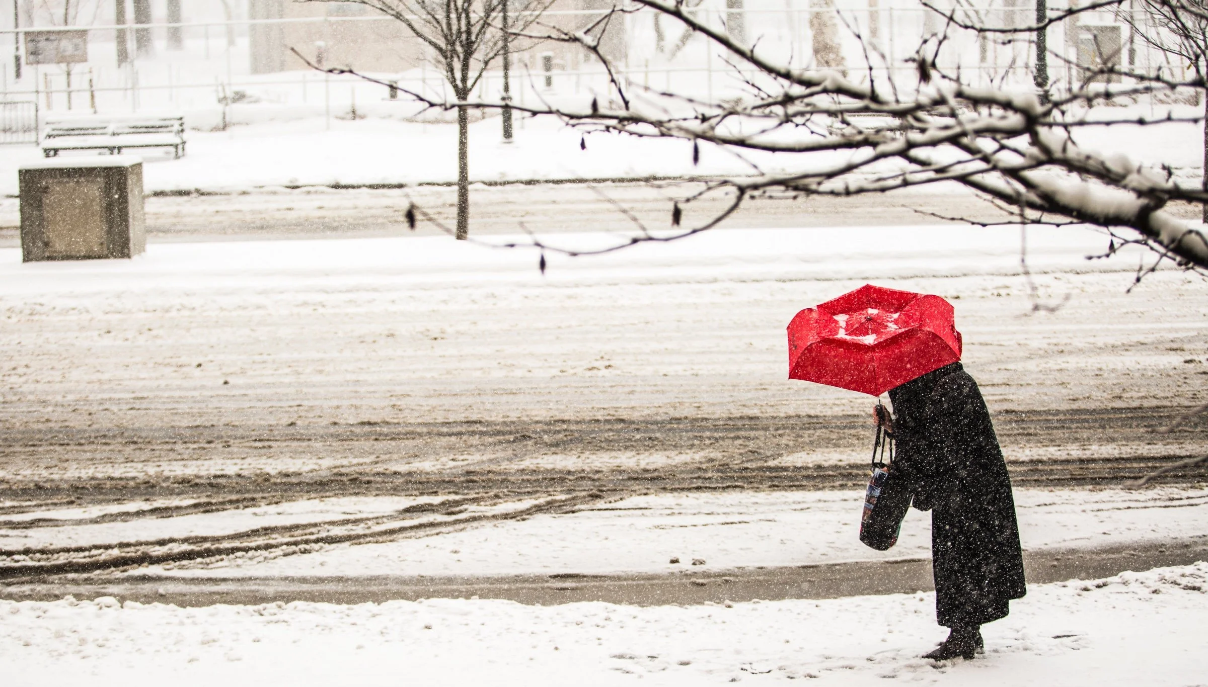 PROOFS-8 THE LAST SNOW 6F6A5330 (1).jpg