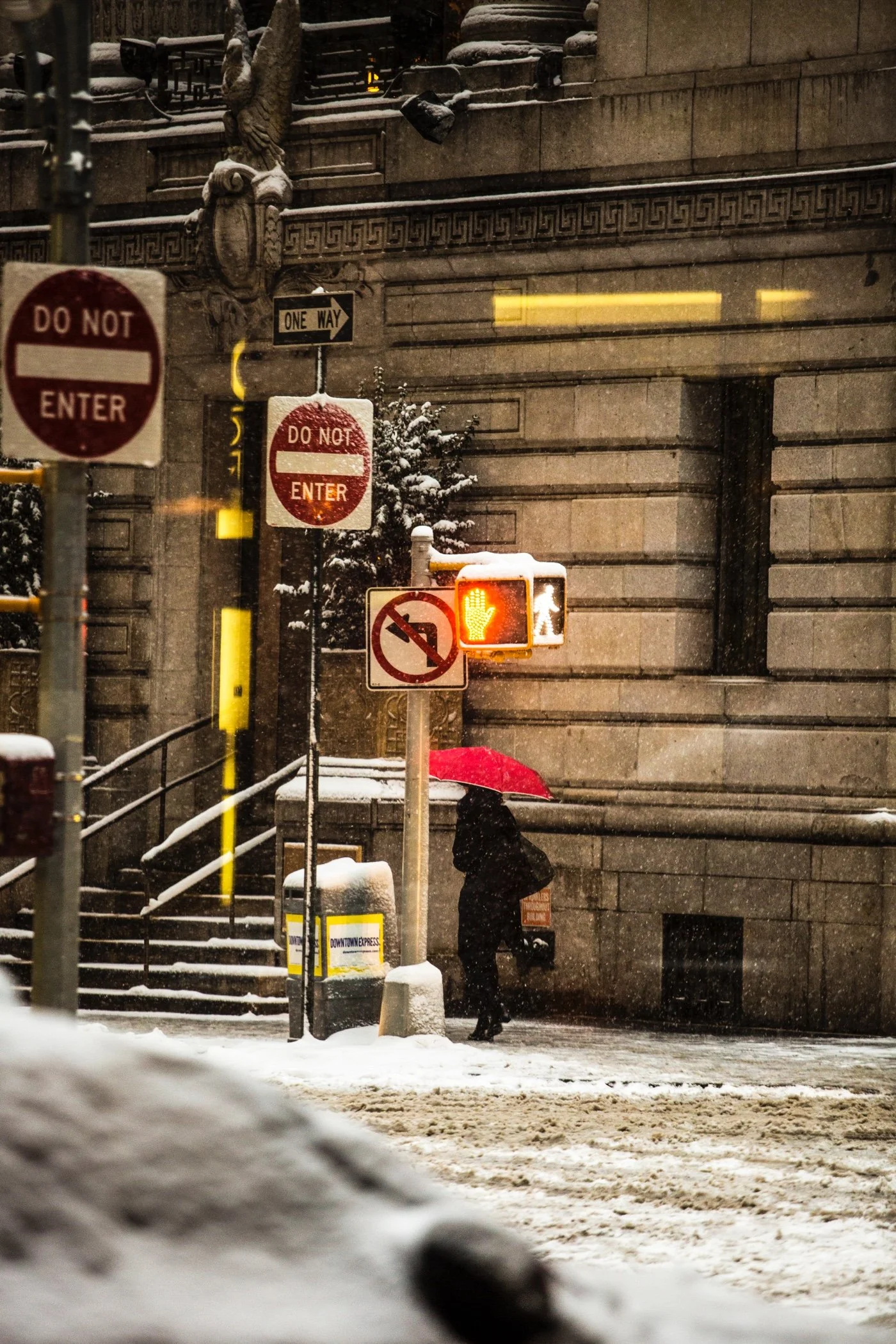 PROOFS-10 THE LAST WINTER 6F6A5461.jpg