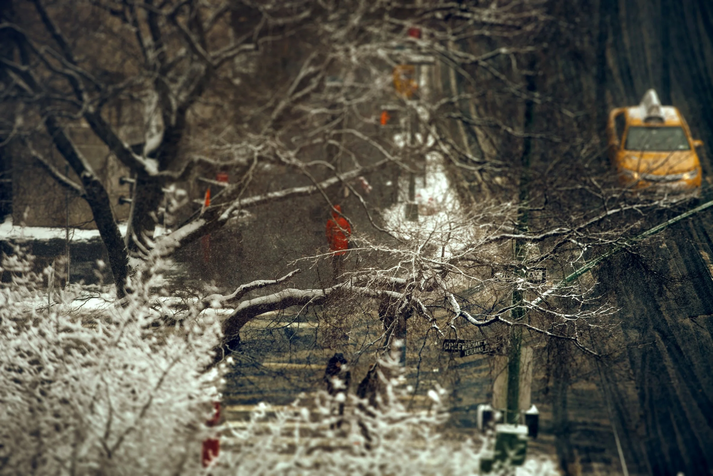 THE LAST SNOW OF NEW YORK