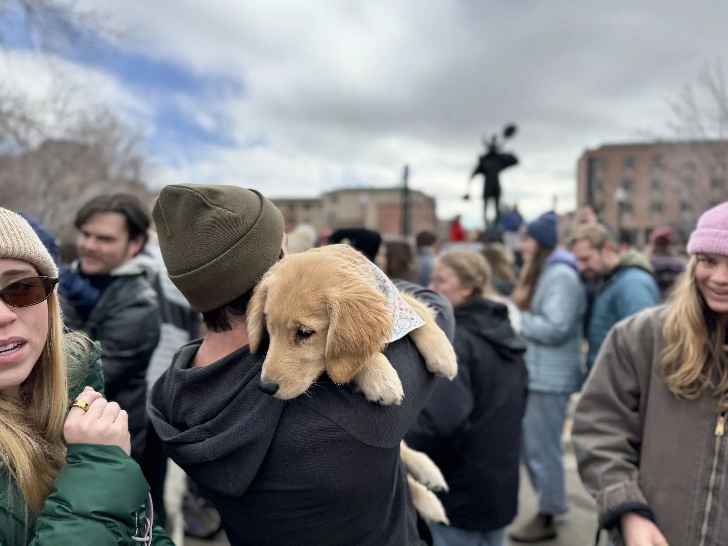 A man carries a Golden Retriever puppy through a crowd.