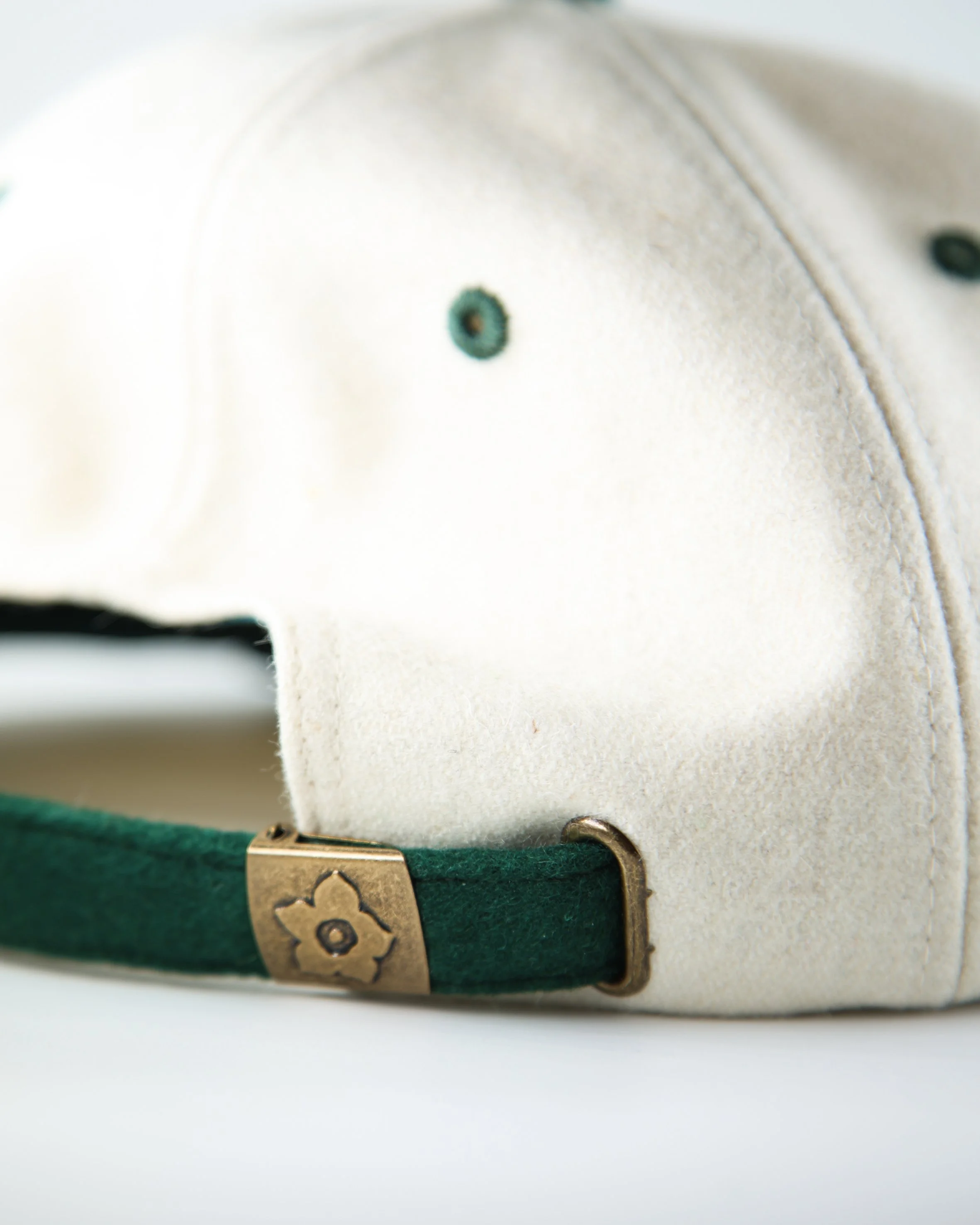 website cap8.jpg