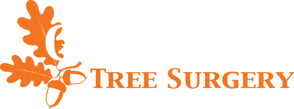 Giles Elliott Tree Surgery