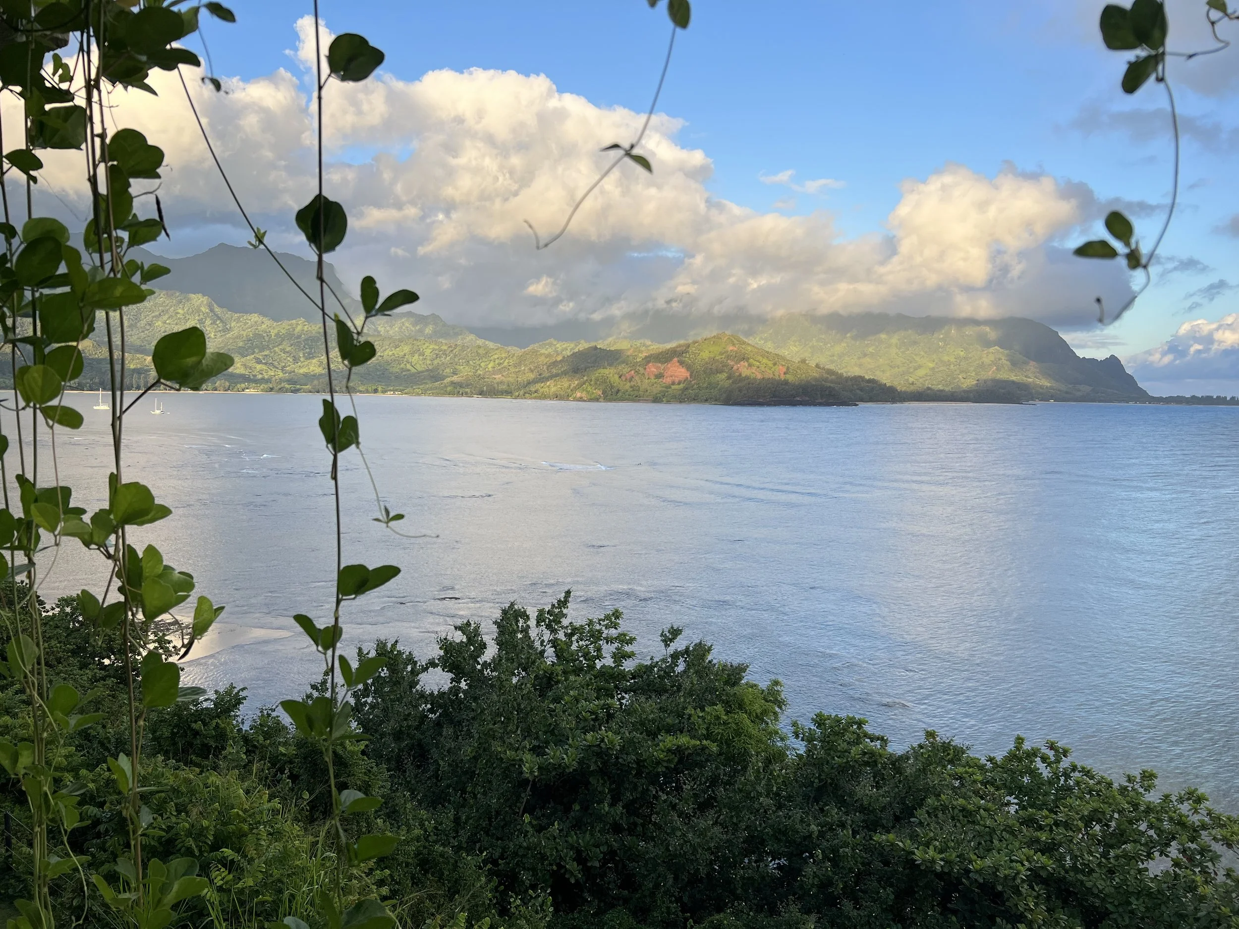 View of lush green mountains and a calm blue ocean under a partly cloudy sky, framed by leafy vines in the foreground.