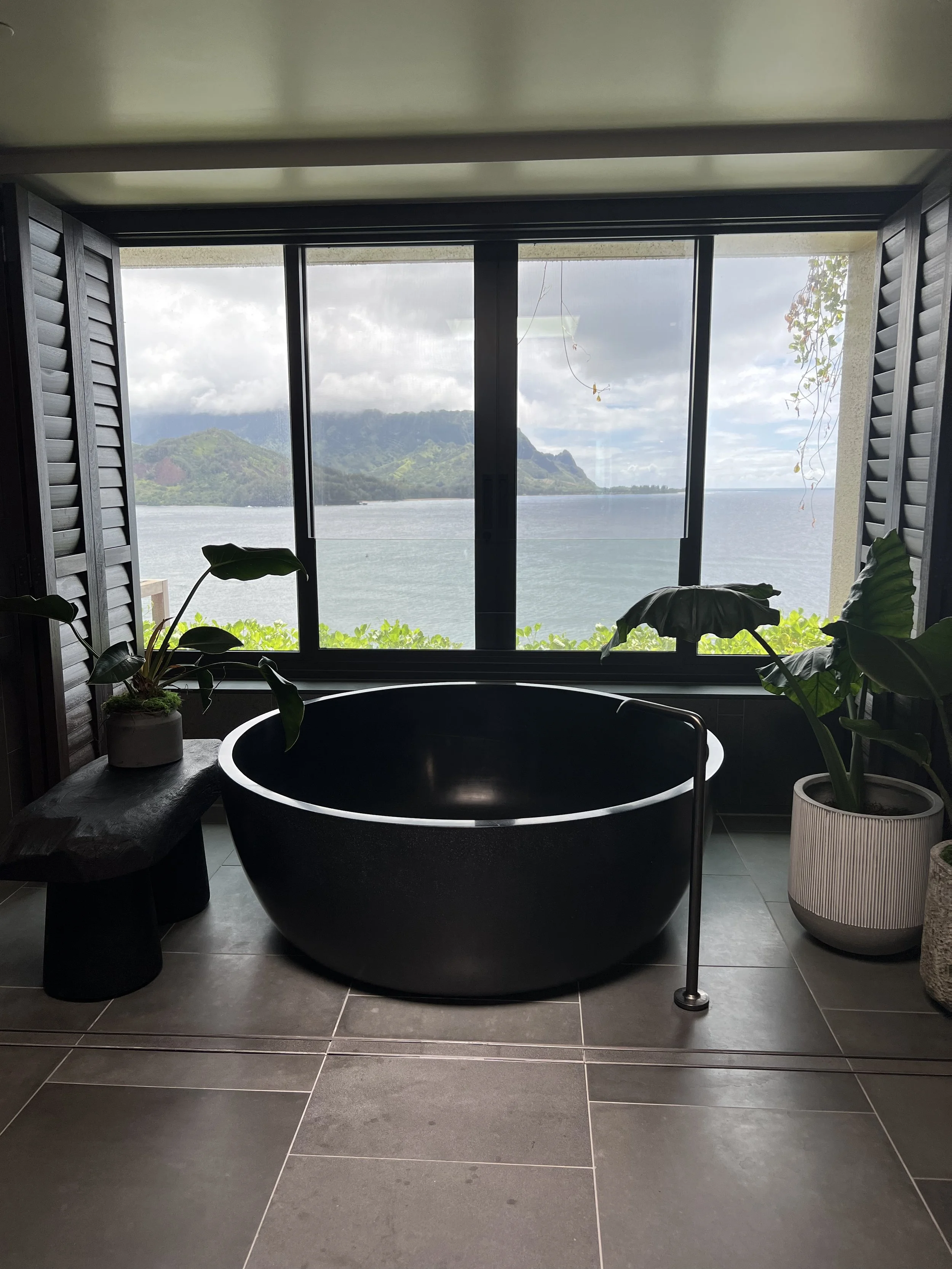 Black freestanding bathtub in front of a large window with a view of a body of water and distant mountains, surrounded by green plants and natural decor.