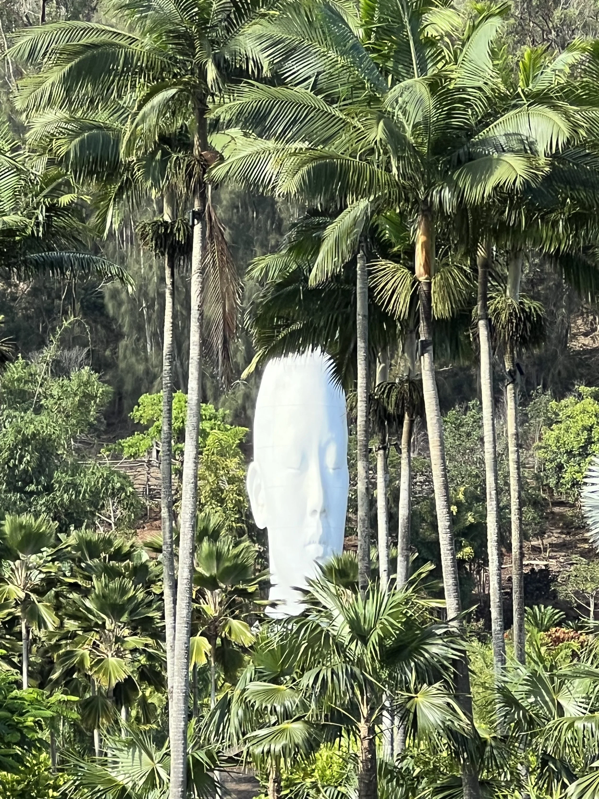 A large, white, serene face sculpture with closed eyes partially hidden behind tall palm trees and lush green tropical plants.