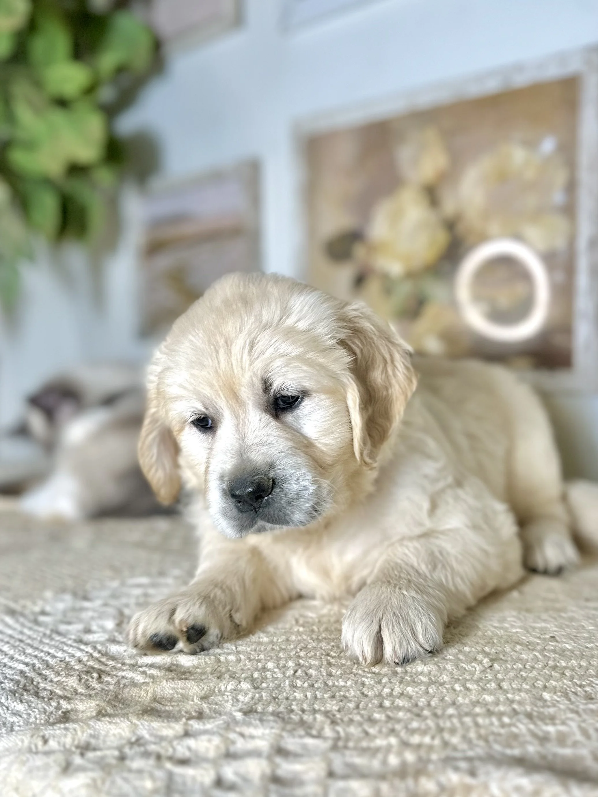when I was two months old
