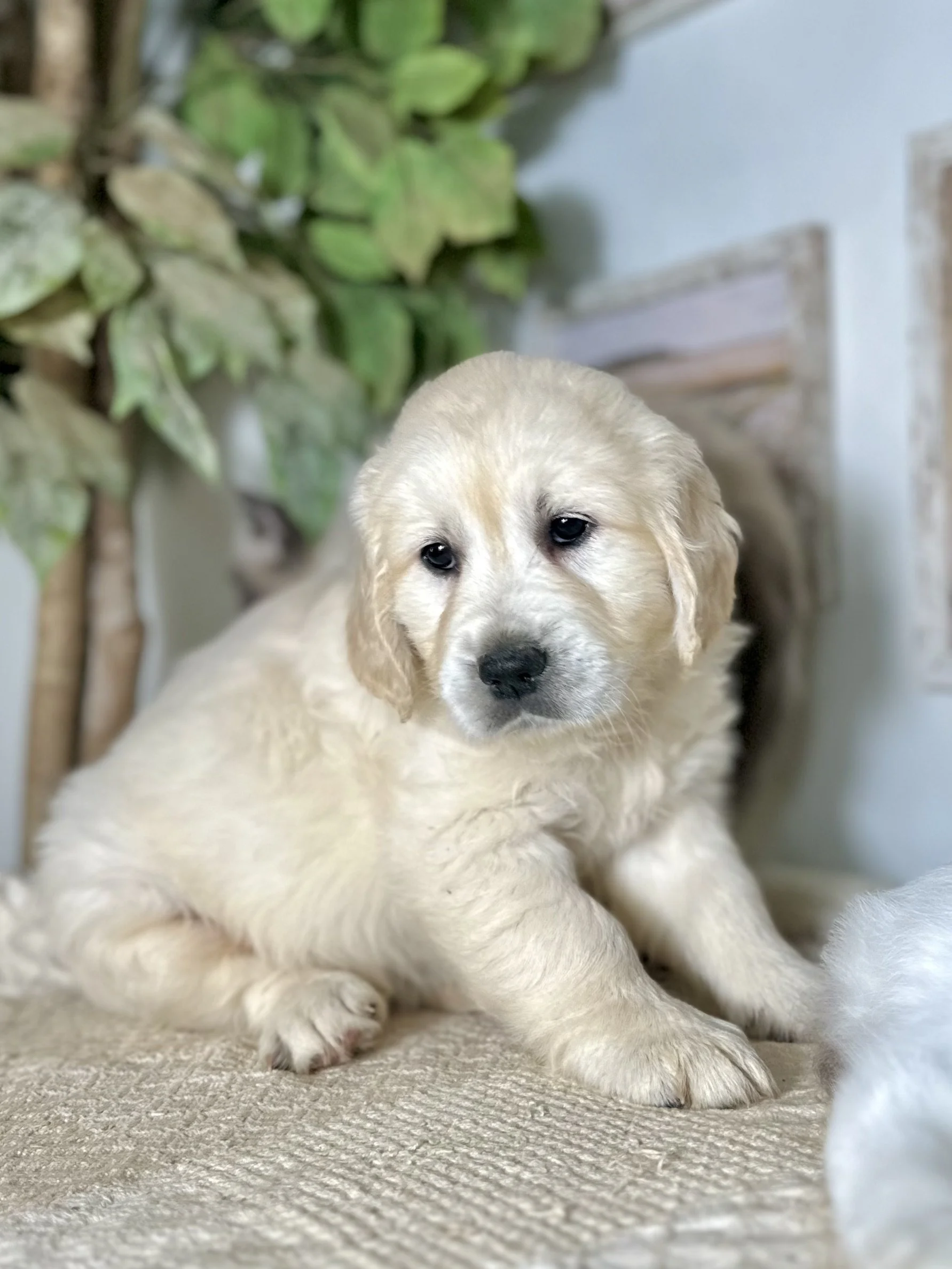 when I was two months old