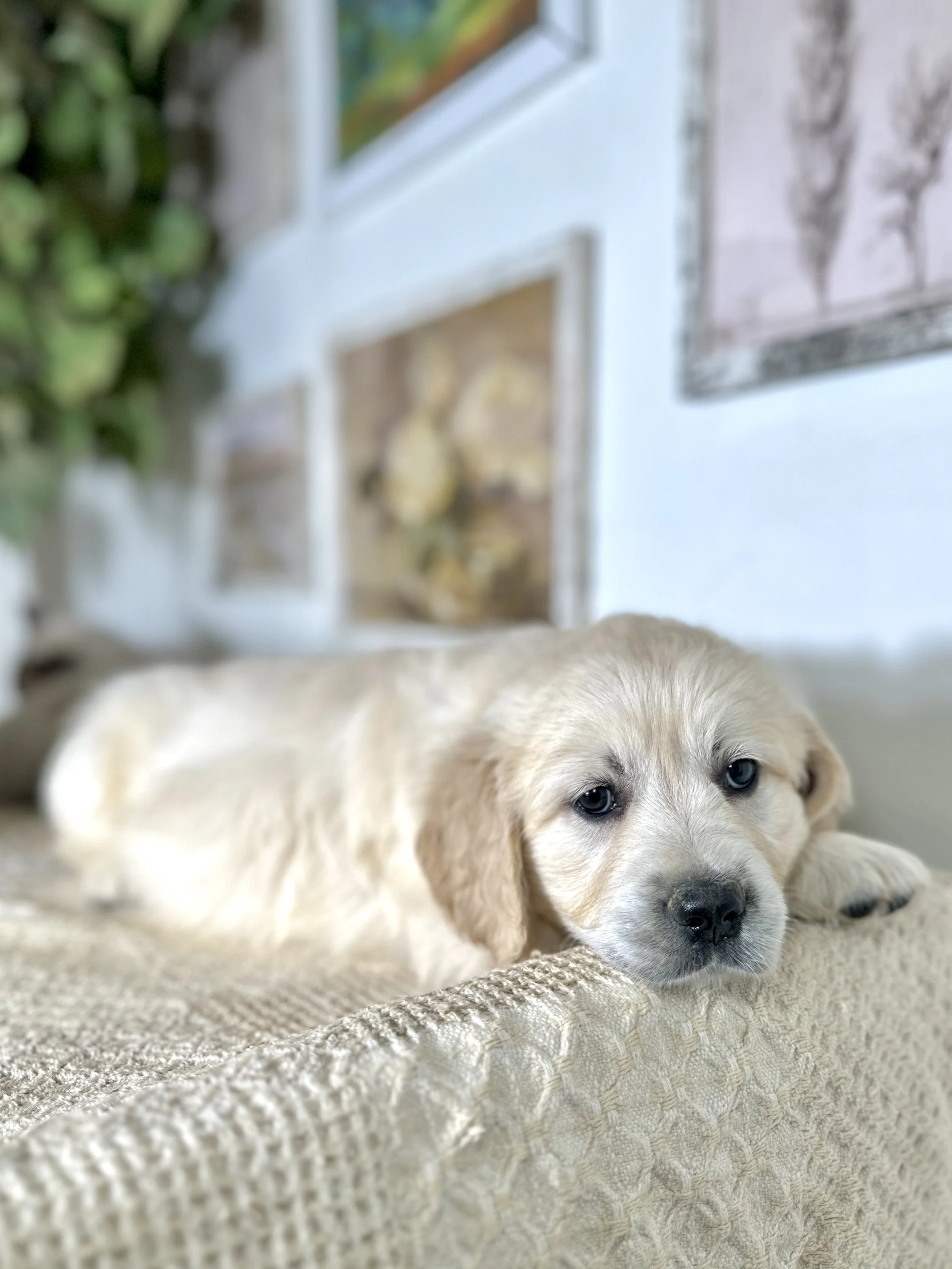 when I was two months old