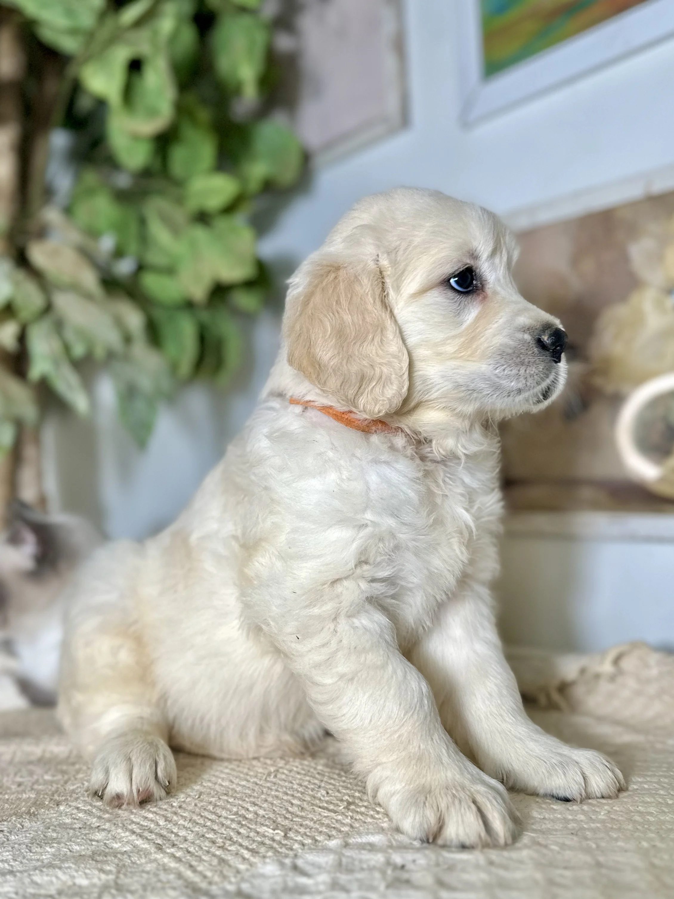 when I was two months old