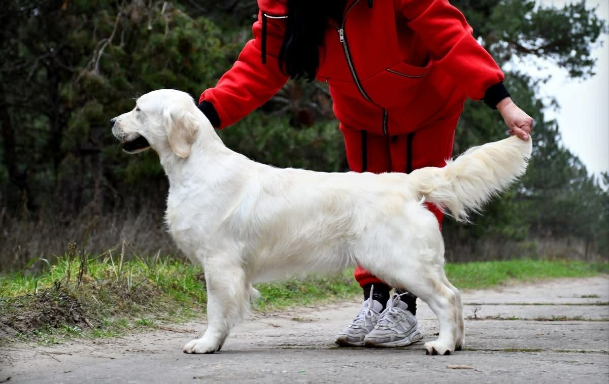 att.fC9vV3iibgC1B7sNnteooZ7vcxGUQRcDjmbFhPL4r8Y 2.JPG