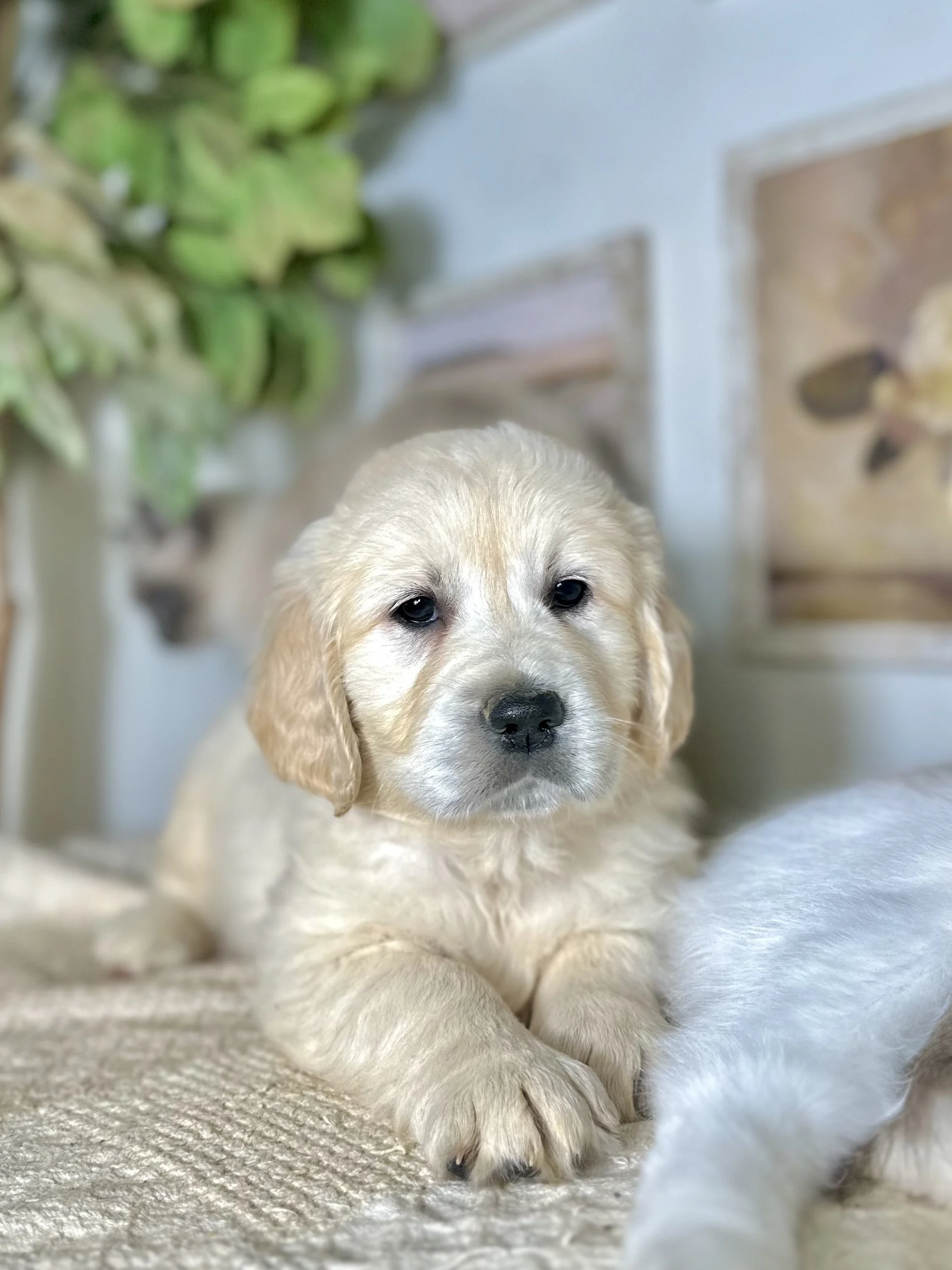 when I was two months old