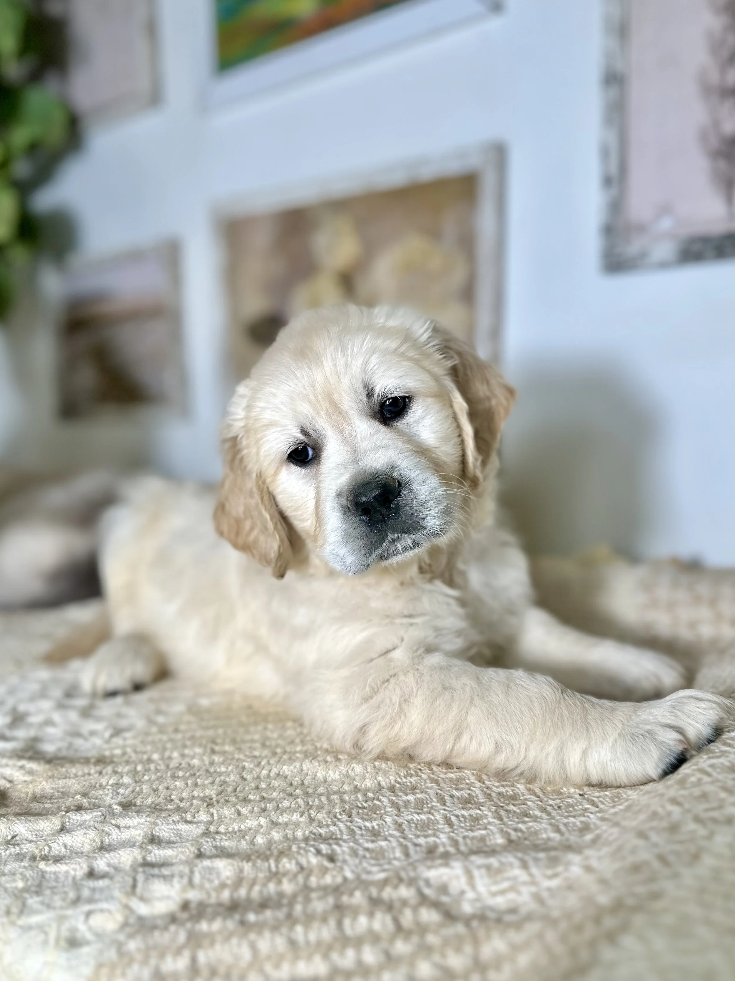 when I was two months old