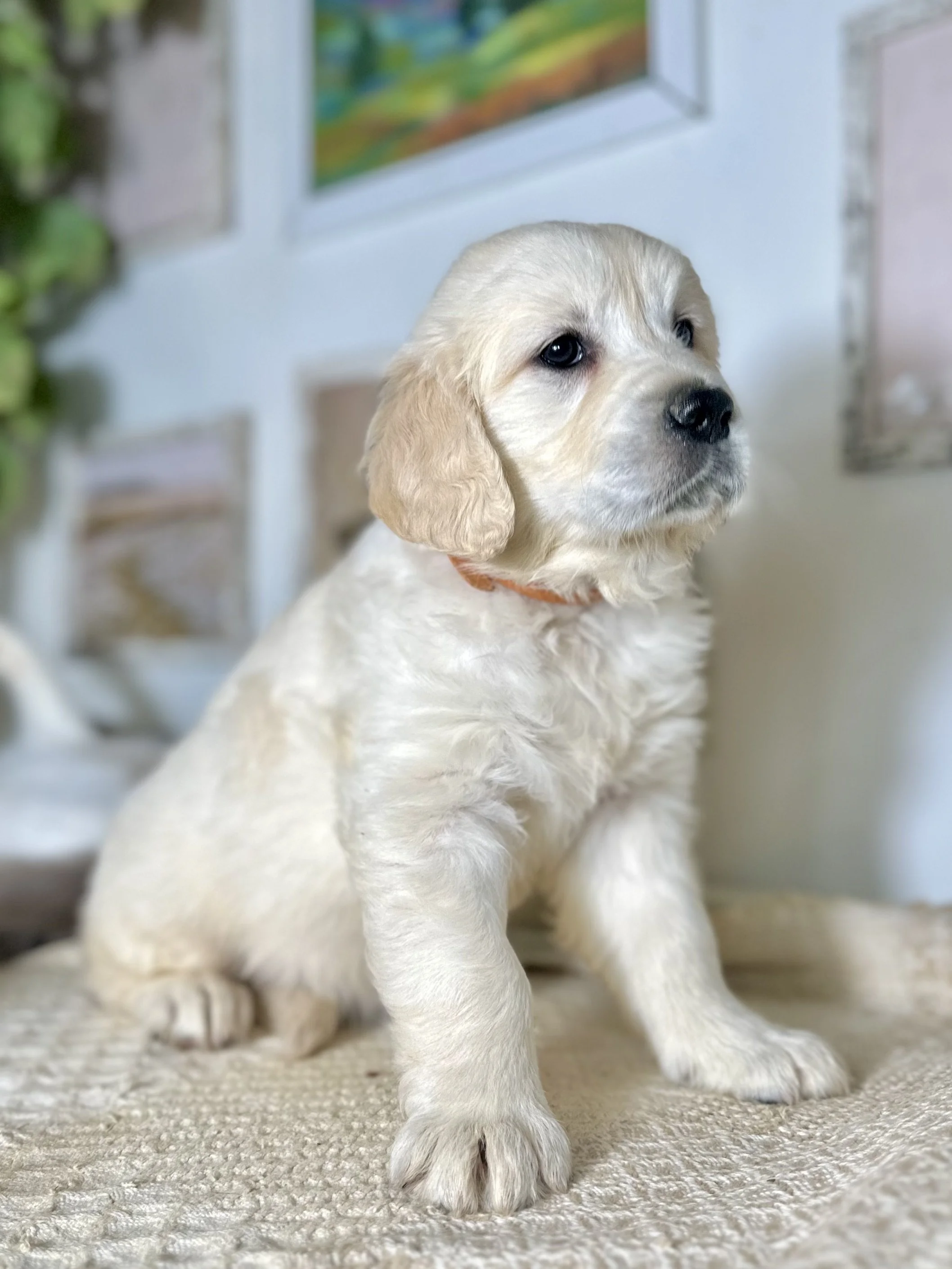when I was two months old