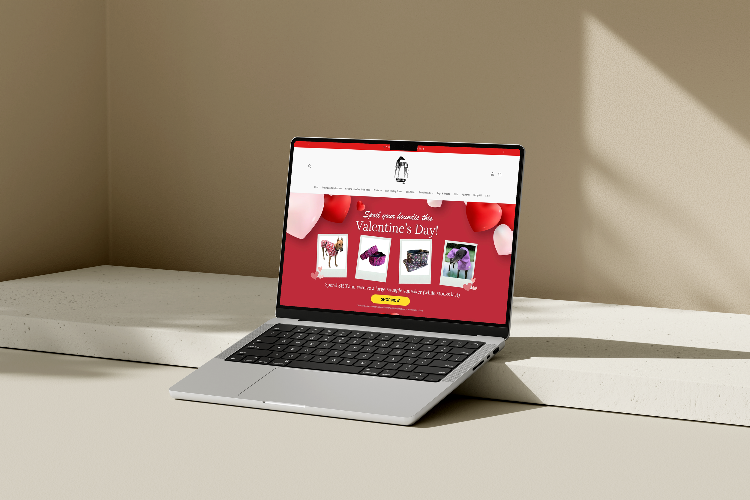 Shopify Website Design
