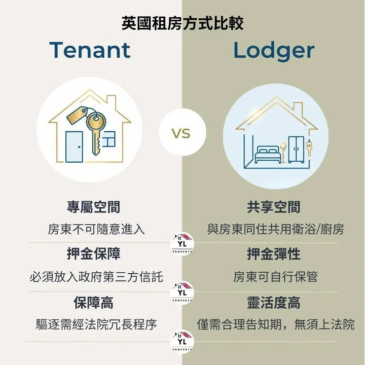 英國租房新法下 Lodger 成為新解方？