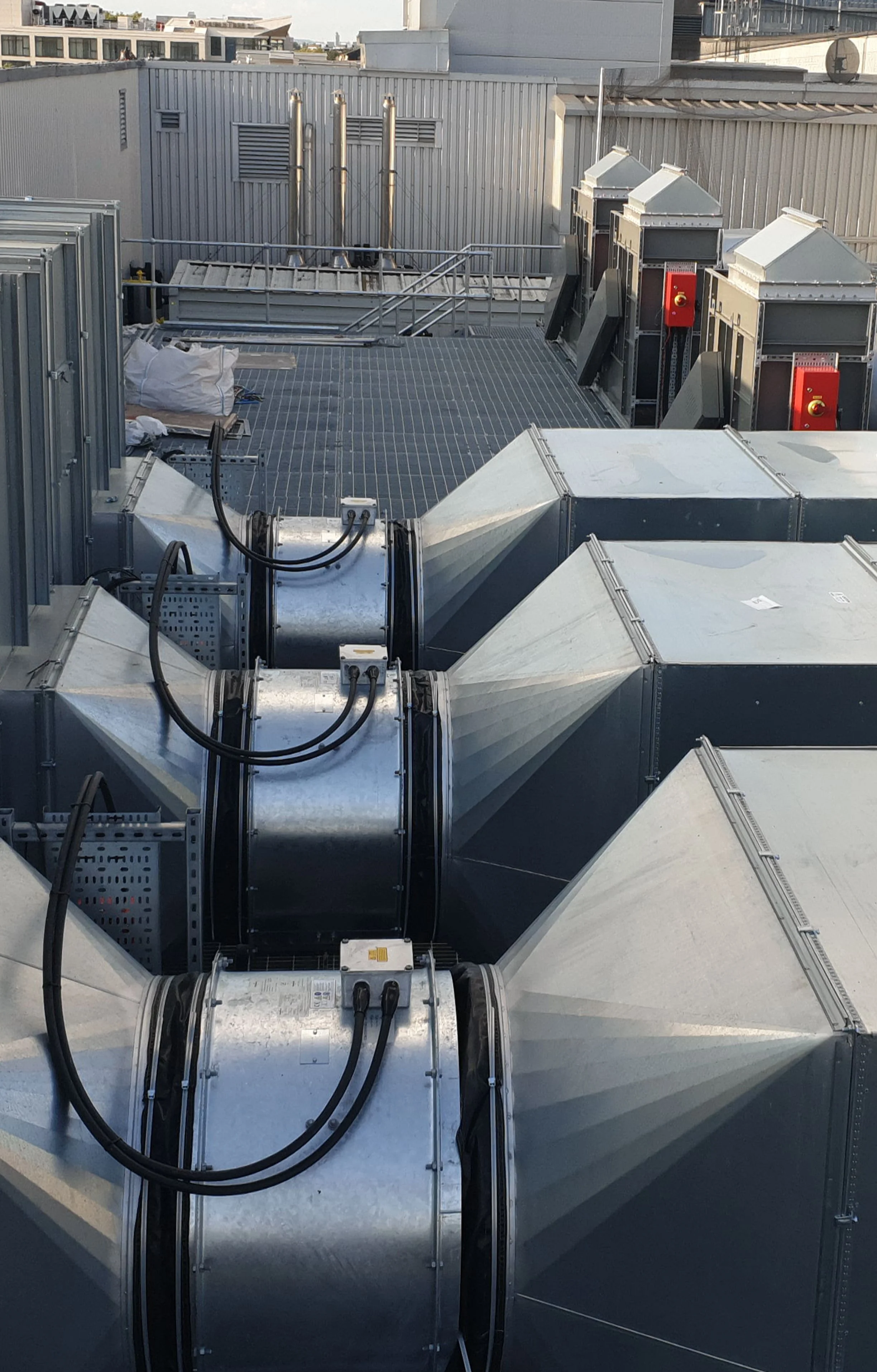 IMG-20190819-WA0021 cropped.jpeg