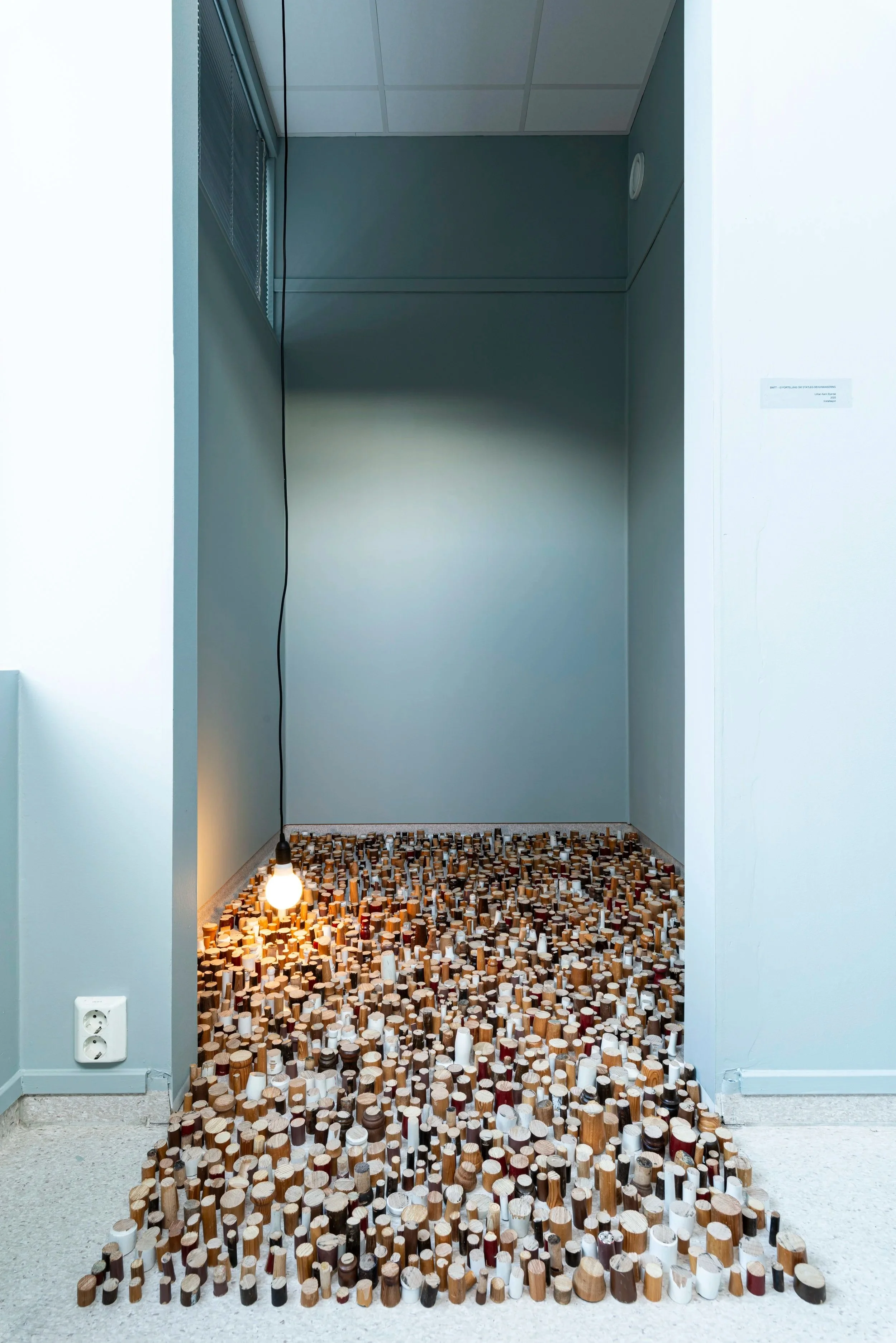 Snitt- ei forteljing om statleg dehumanisering, 2025. Installasjon i tre, NITTENNULLNI, Valderøy 2025 Foto: Karina Tene