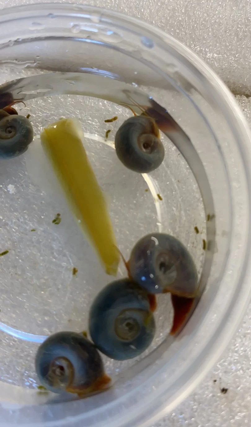 View recent photos 2 copy 11.jpeg