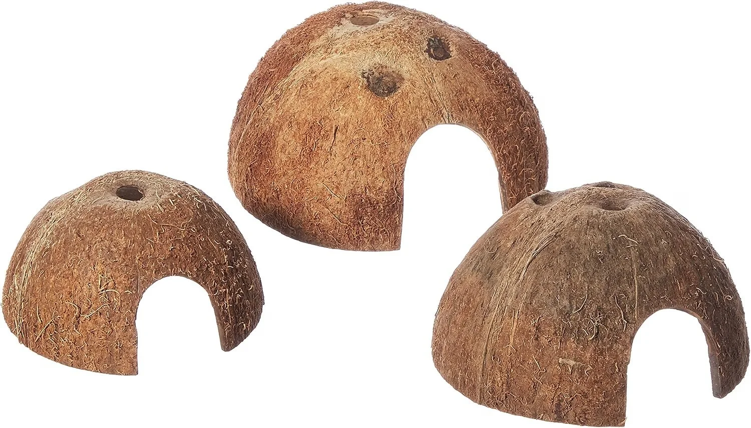 3 coconut shells