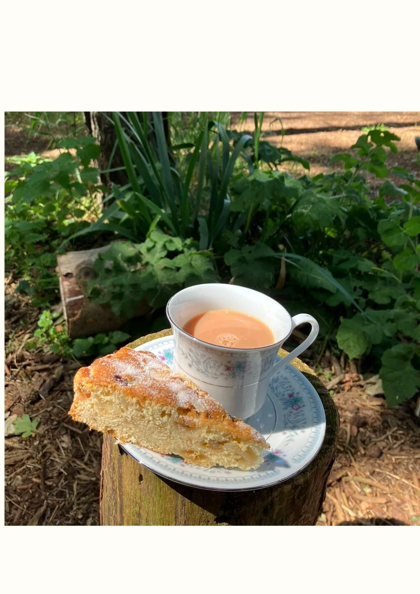 Into the Wild Retreat Day | Saturday 20th June | 9.30am -2.30pm