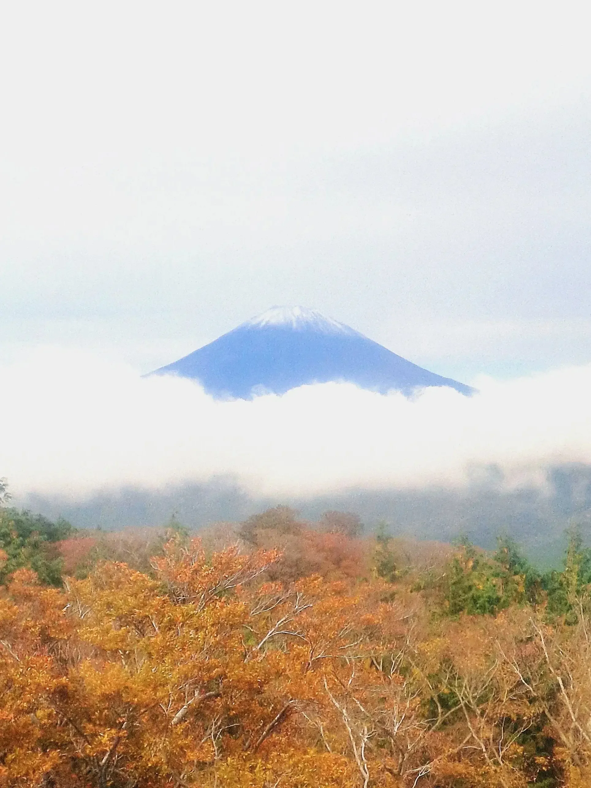 Image of mount Fuji in Japan.