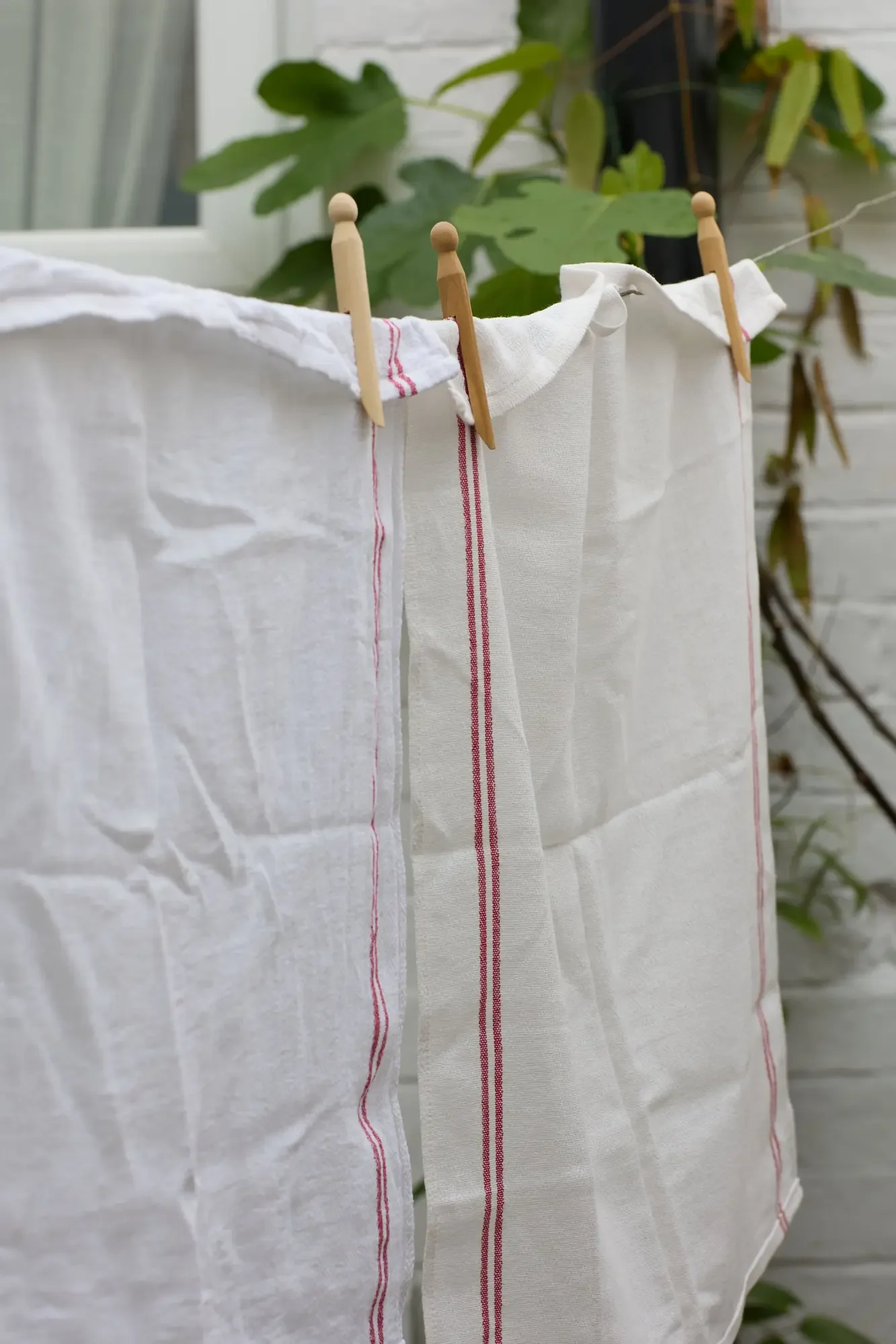 Clothes hanging on a clothesline with wooden clips, with green leafy plants in the background.
