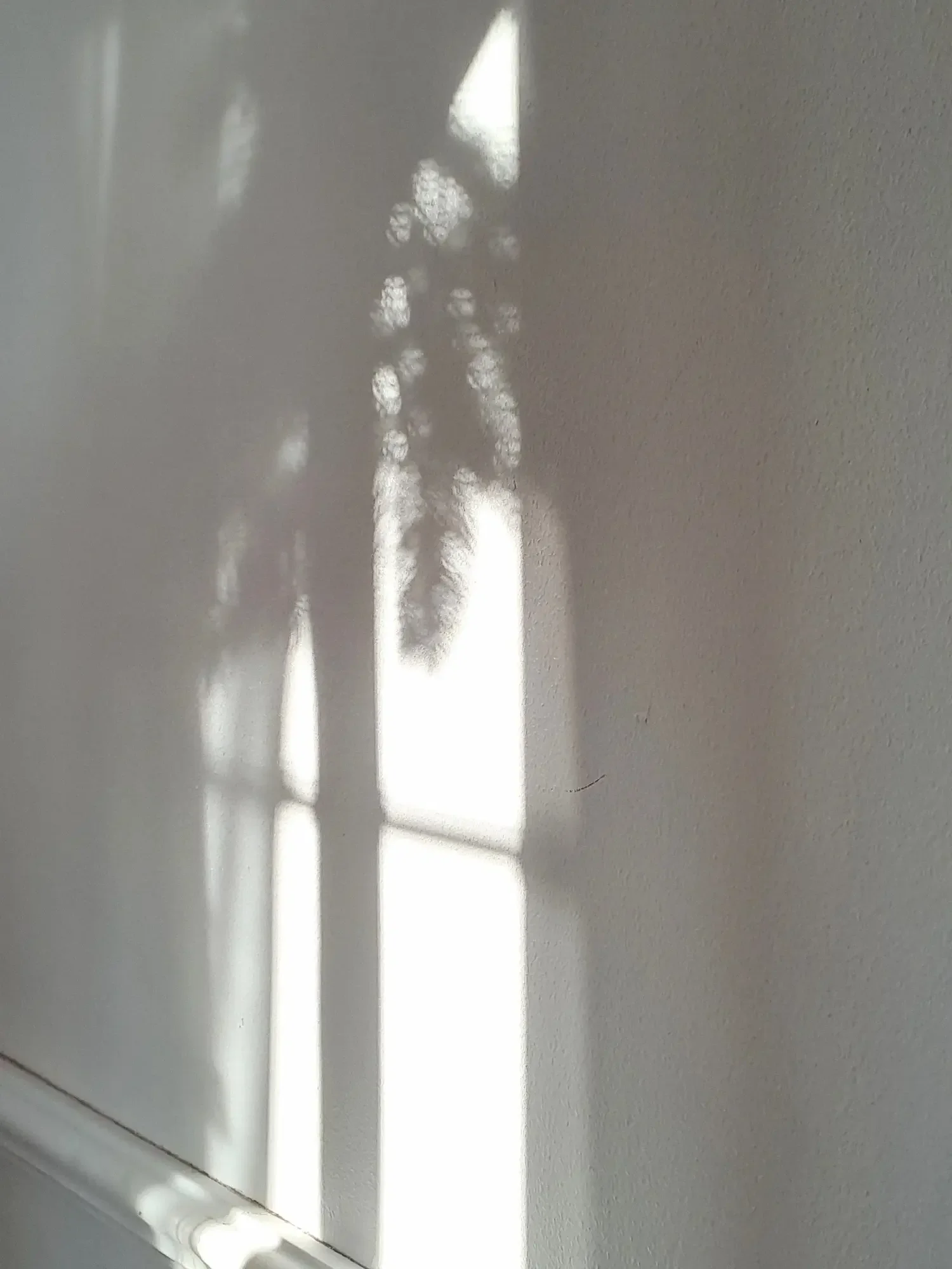 Sunlight casting reflections on a light gray wall through a window.
