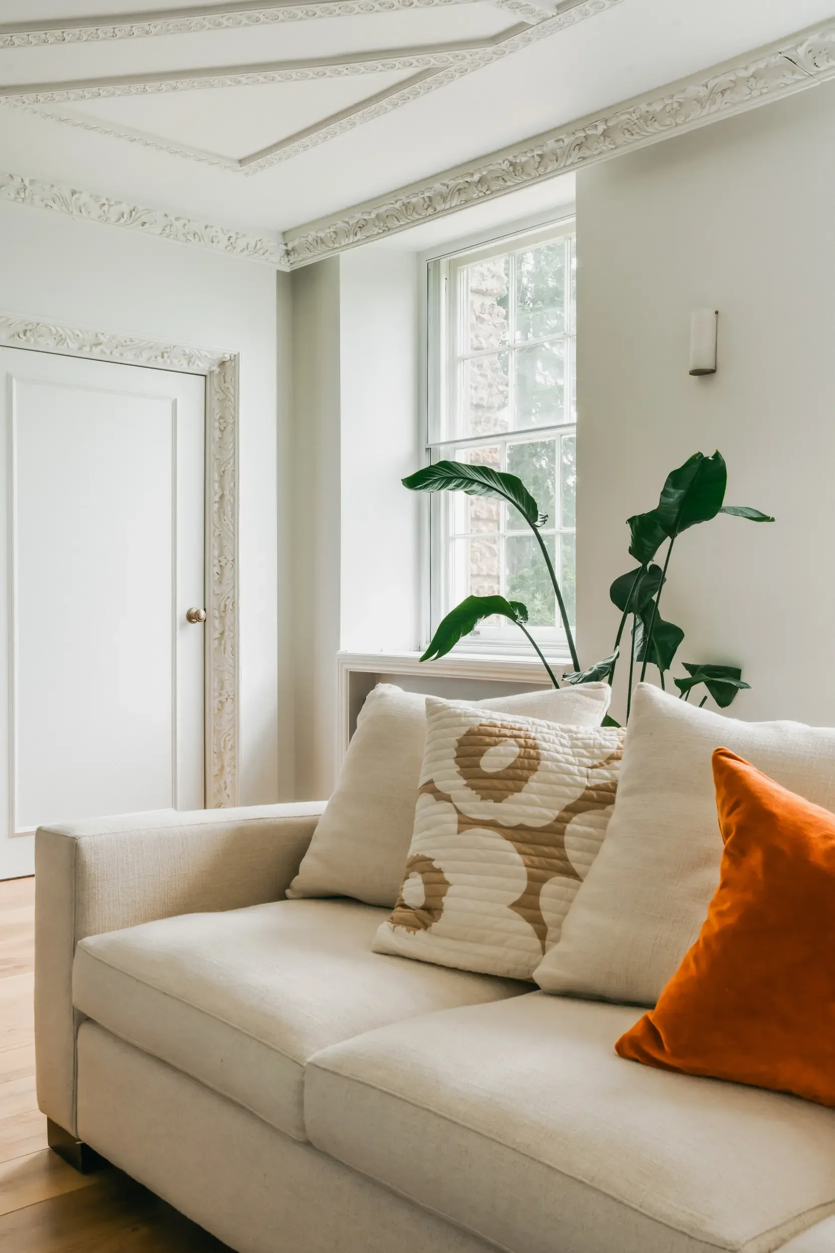 A cozy living room corner with a white sofa decorated with colorful pillows, a large green leafy plant, an ornate ceiling detail, and a window letting in natural light.
