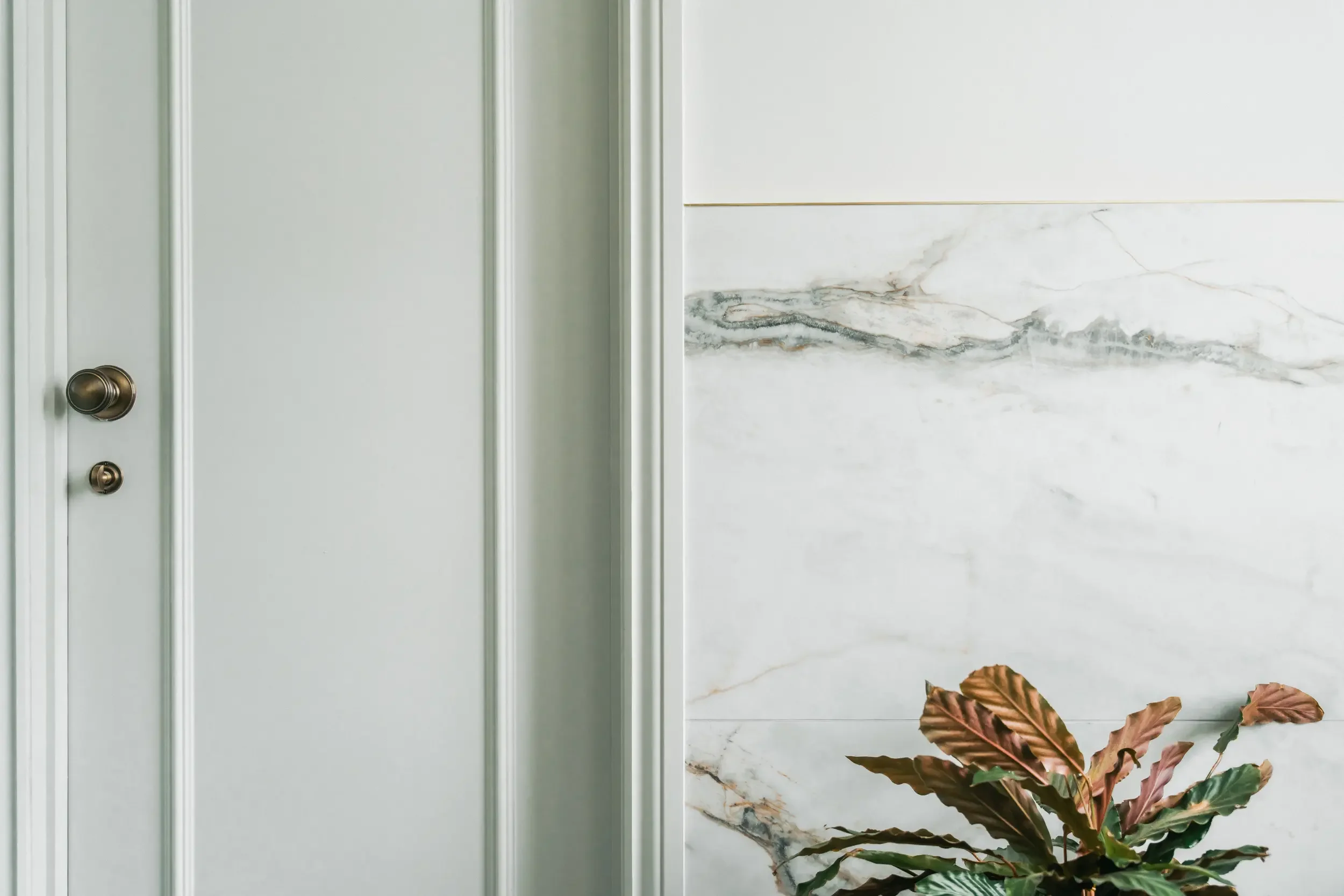 Close-up of a white door with a brass doorknob and a small deadbolt, next to a marble wall with gray veining and a potted plant with large, brown and green leaves.