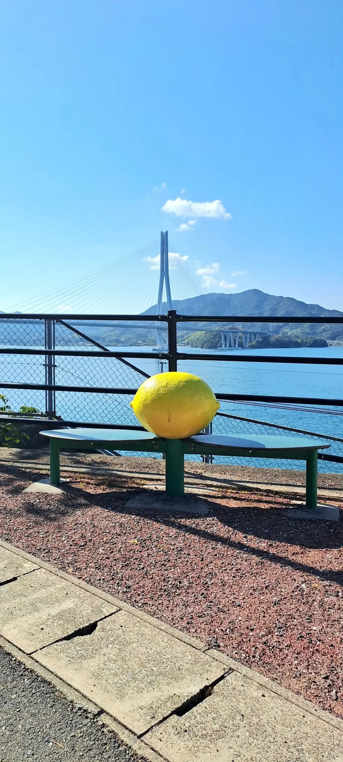 Lemon art installation on a bench in Japan.