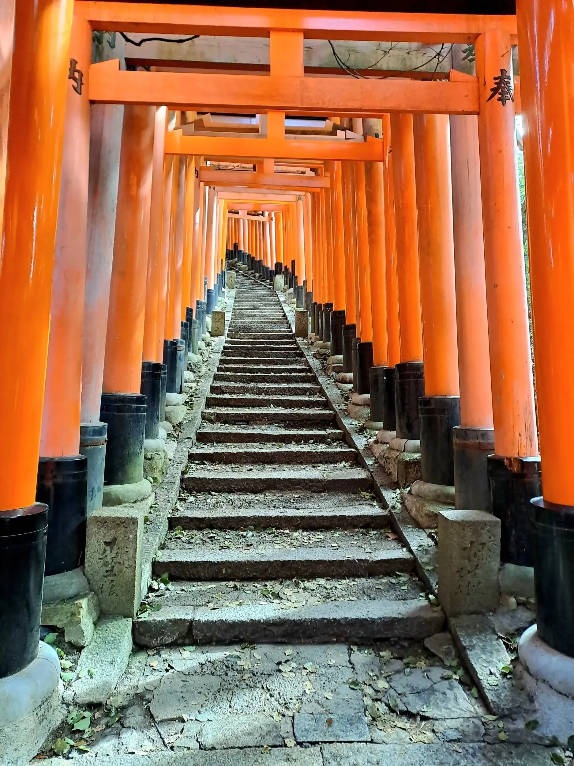 Traditional Japanese torii gates and stairs.