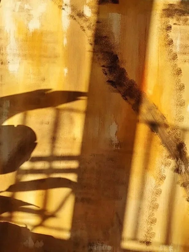 Shadows of plants and a fence cast on a yellowish wall in sunlight.