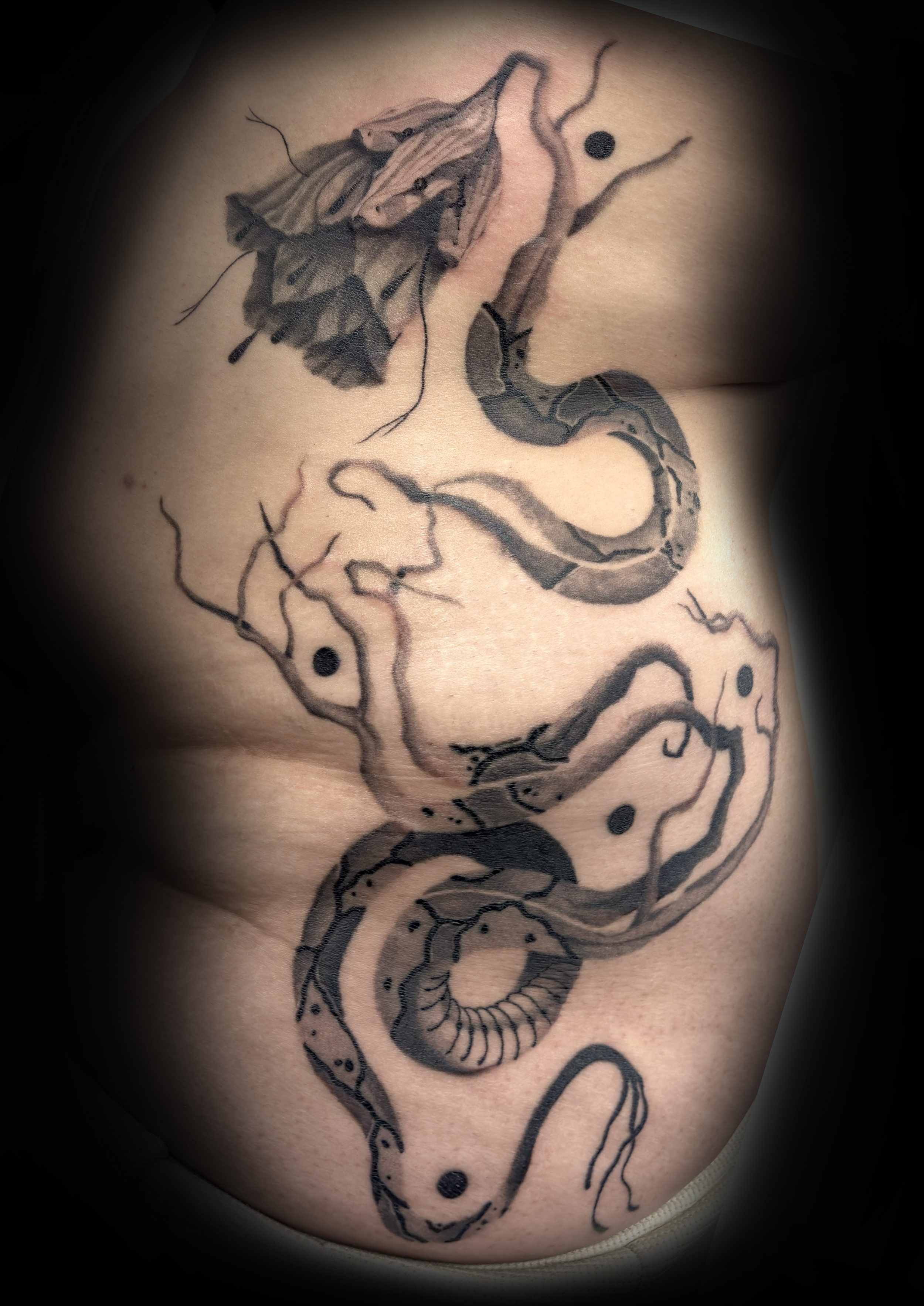 Untitled_Artwork 4.png