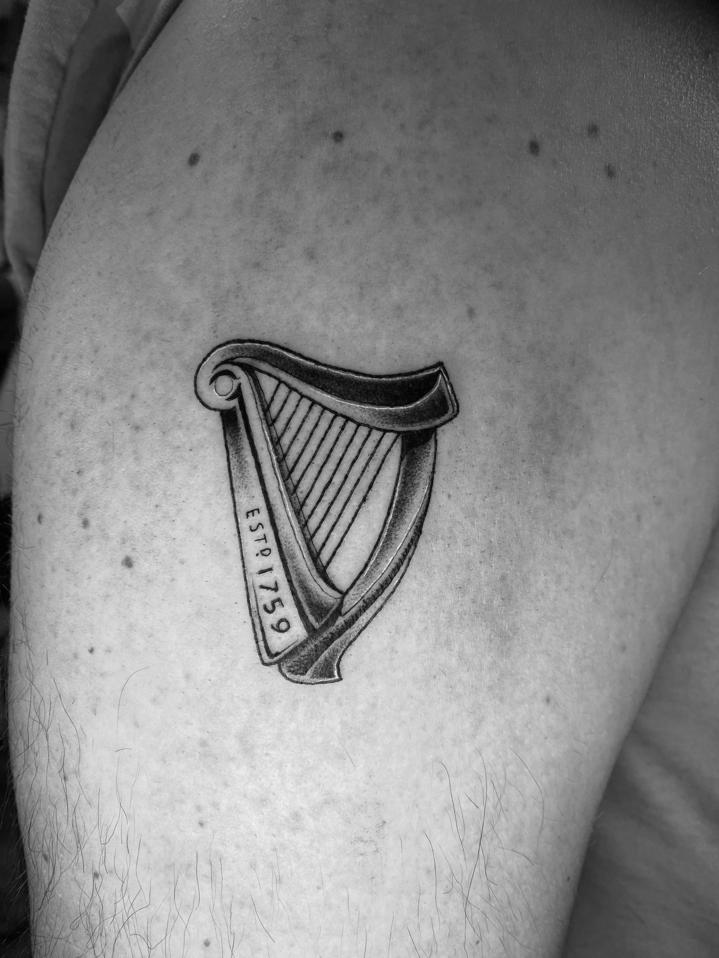 small guinness harp tattoo done by kim bale tattoos at banjaxed ink irelands best tattoo studio