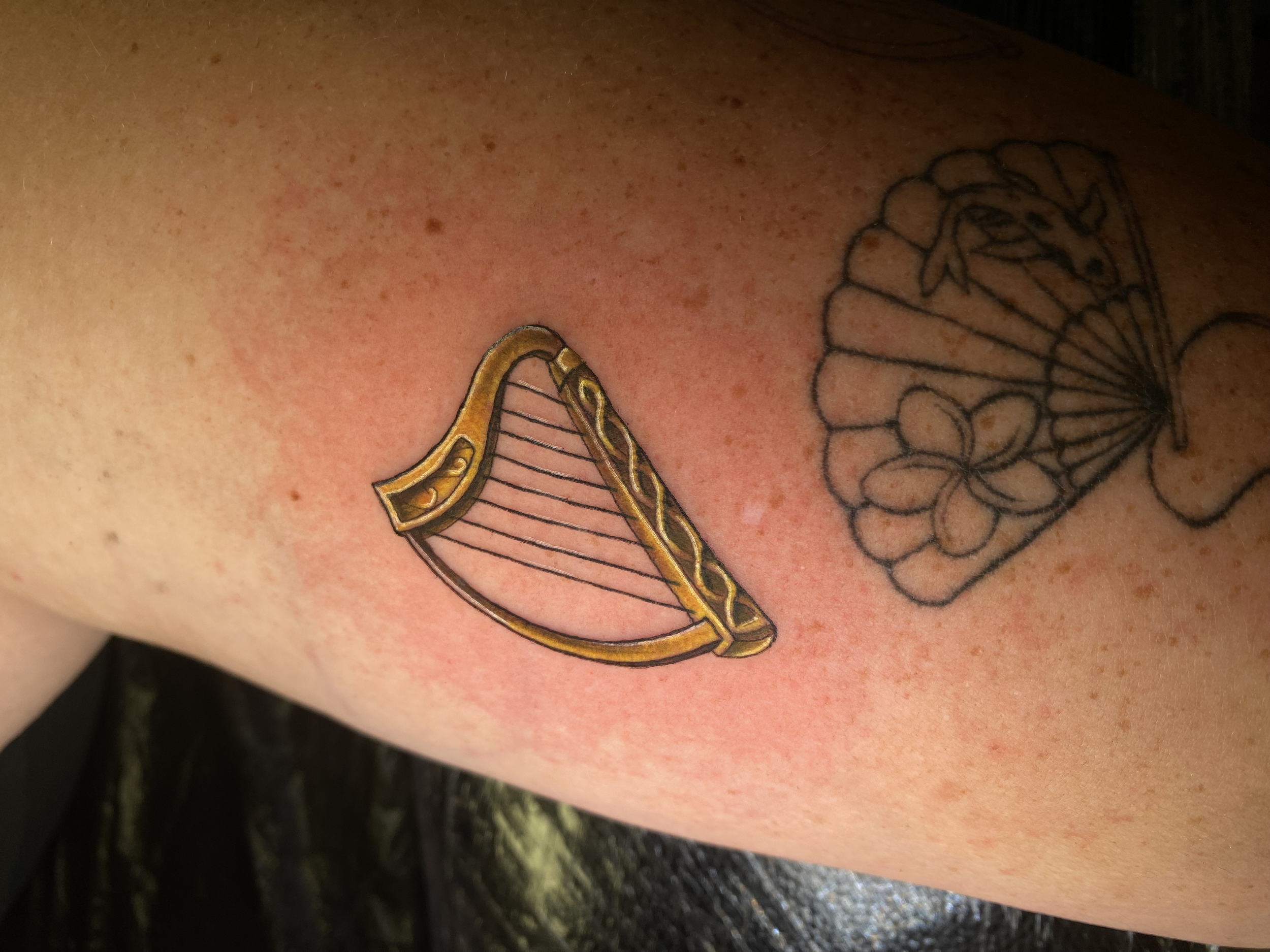 tiny harp tattoo irish tattoo done by kim bale tattoos at banjaxed ink irelands best tattoo studio