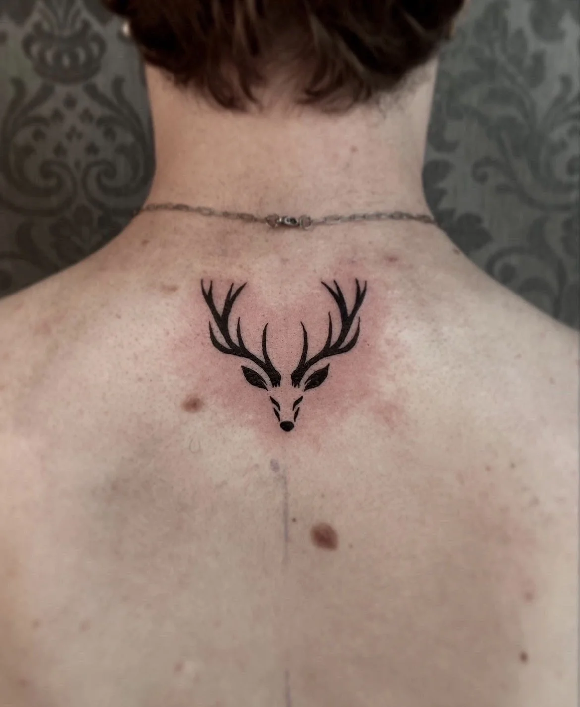 Cute fineline stag tattoo done by ceidi corbally at banjaxed ink tattoo studio dublin ireland fine line