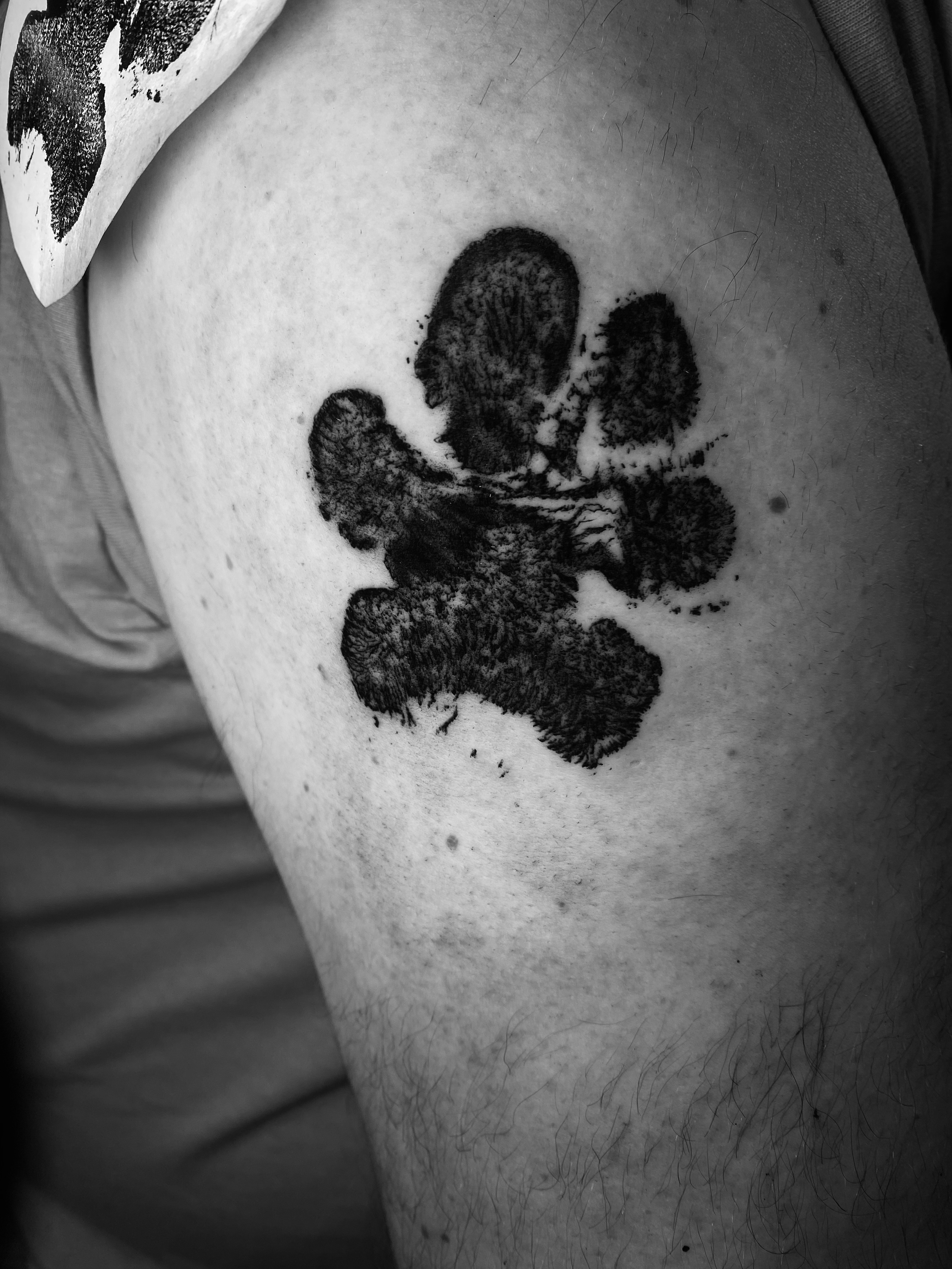 paw print tattoo done by kim bale tattoos at banjaxed ink irelands best tattoo studio