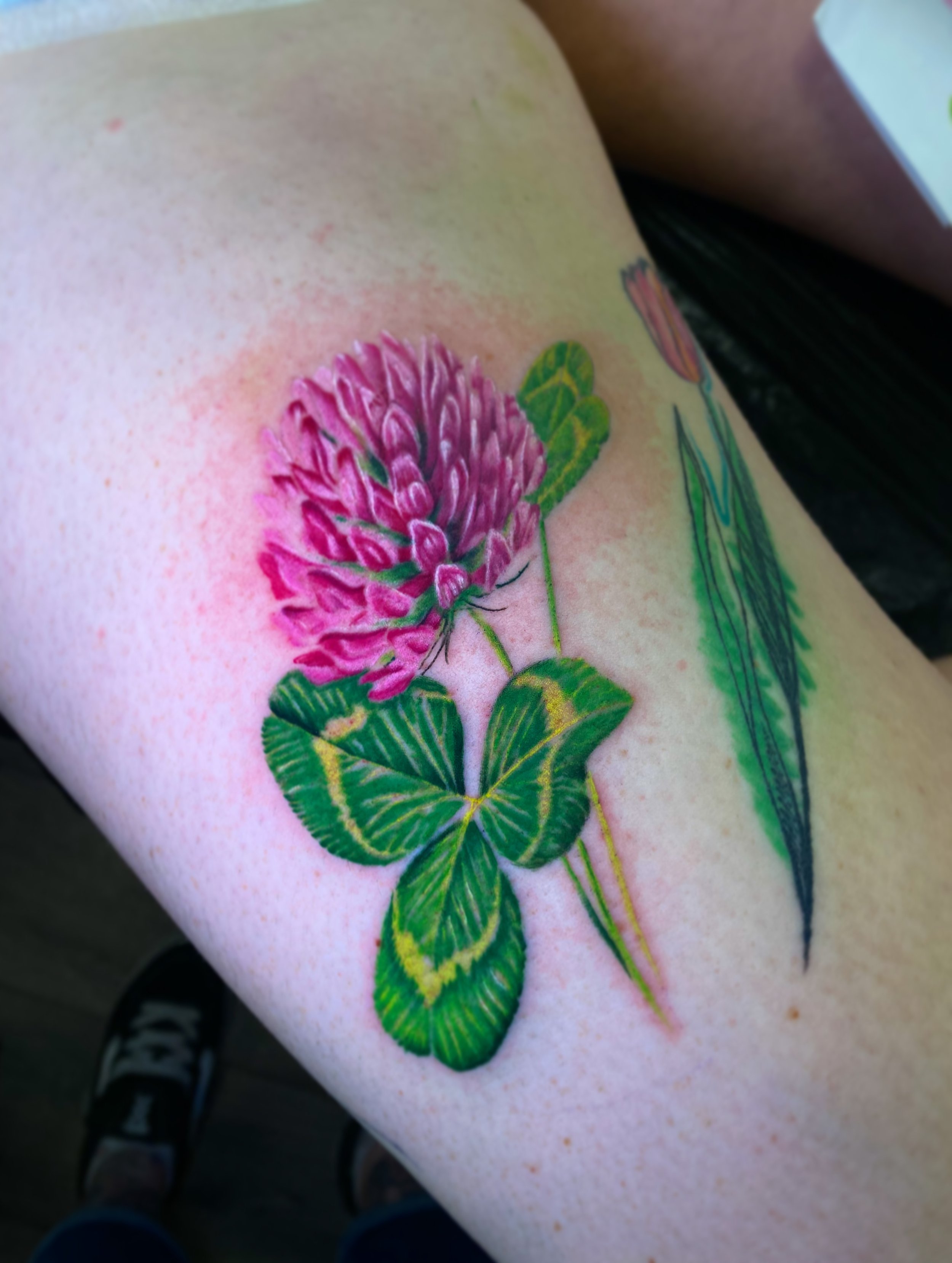 irish flower shamrock tattoo color tattoo dublin ireland 