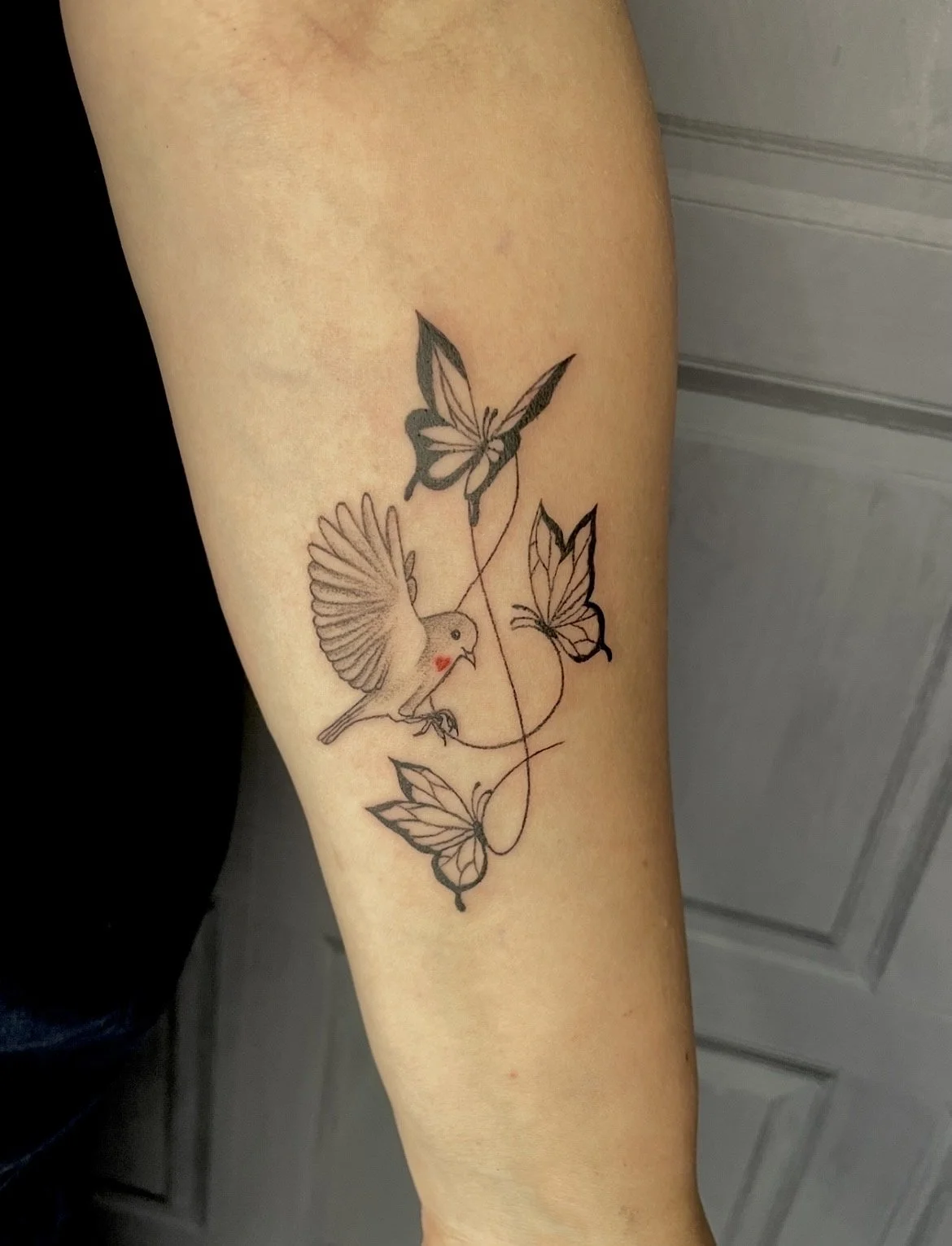 Cute fineline bird butterfly tattoo done by ceidi corbally at banjaxed ink tattoo studio dublin ireland fine line